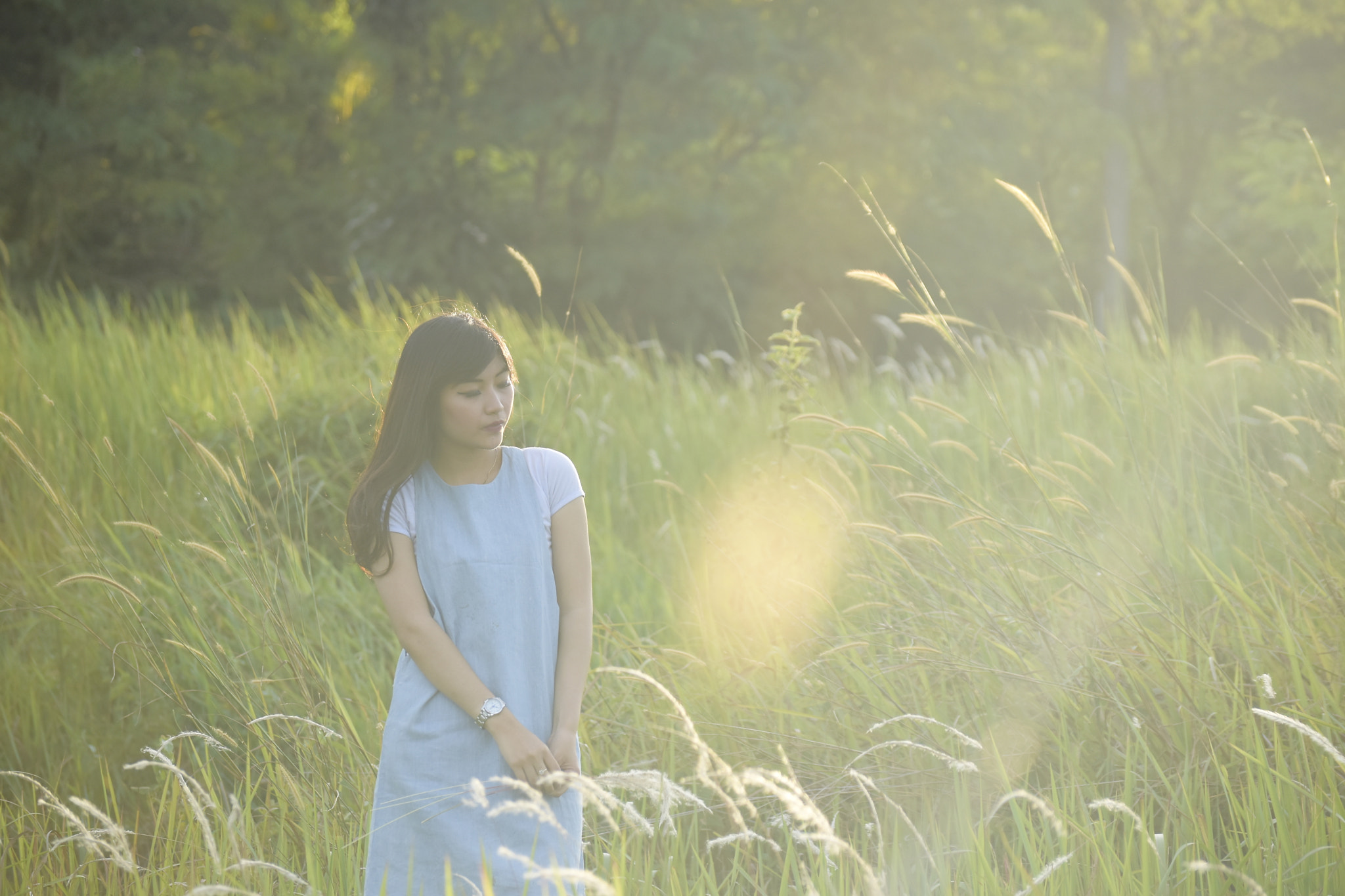 Nikon D5500 sample photo. Mv photography