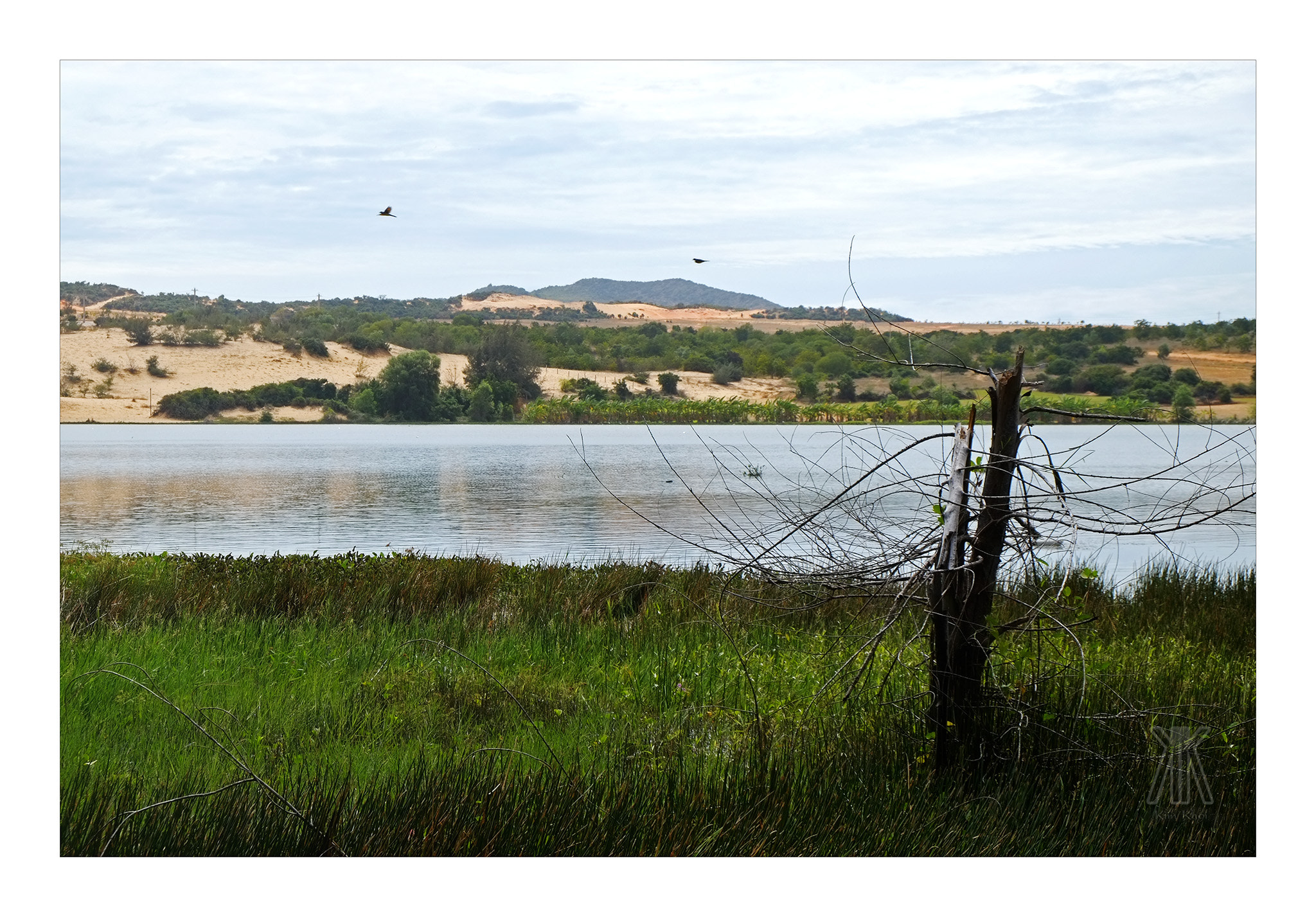 Fujifilm XC 16-50mm F3.5-5.6 OIS II sample photo. Sad view photography