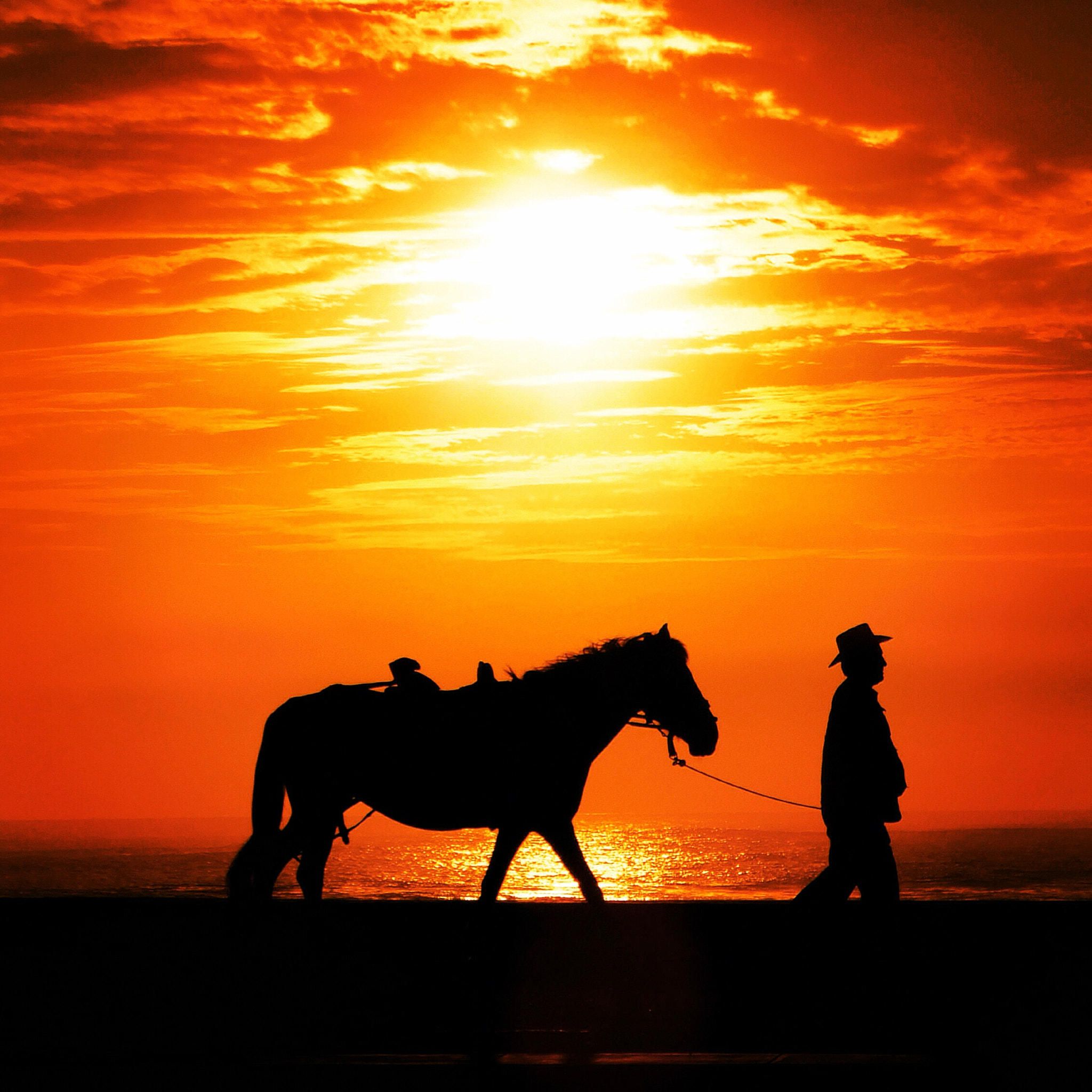 Fujifilm FinePix F770EXR (FinePix F775EXR) sample photo. Horse, human and pacific ocean ii photography