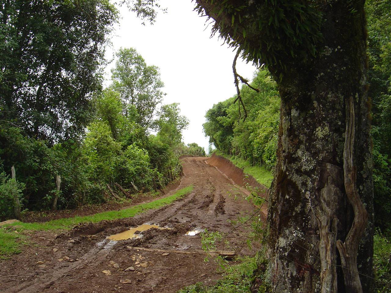 Sony DSC-P92 sample photo. Road to belén gualcho photography