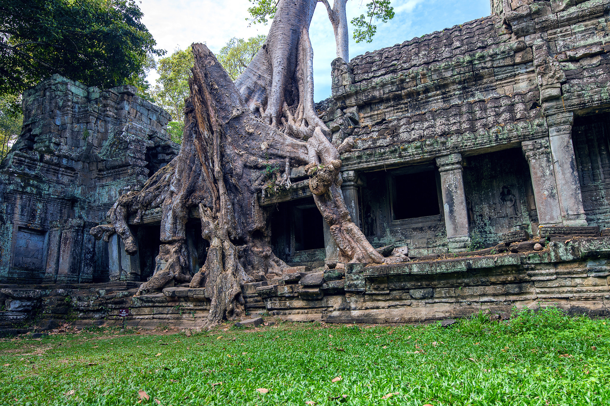 Nikon D4S + Nikon AF-S Nikkor 16-35mm F4G ED VR sample photo. Trees growing out of ta prohm temple, angkor wat in cambodia. photography