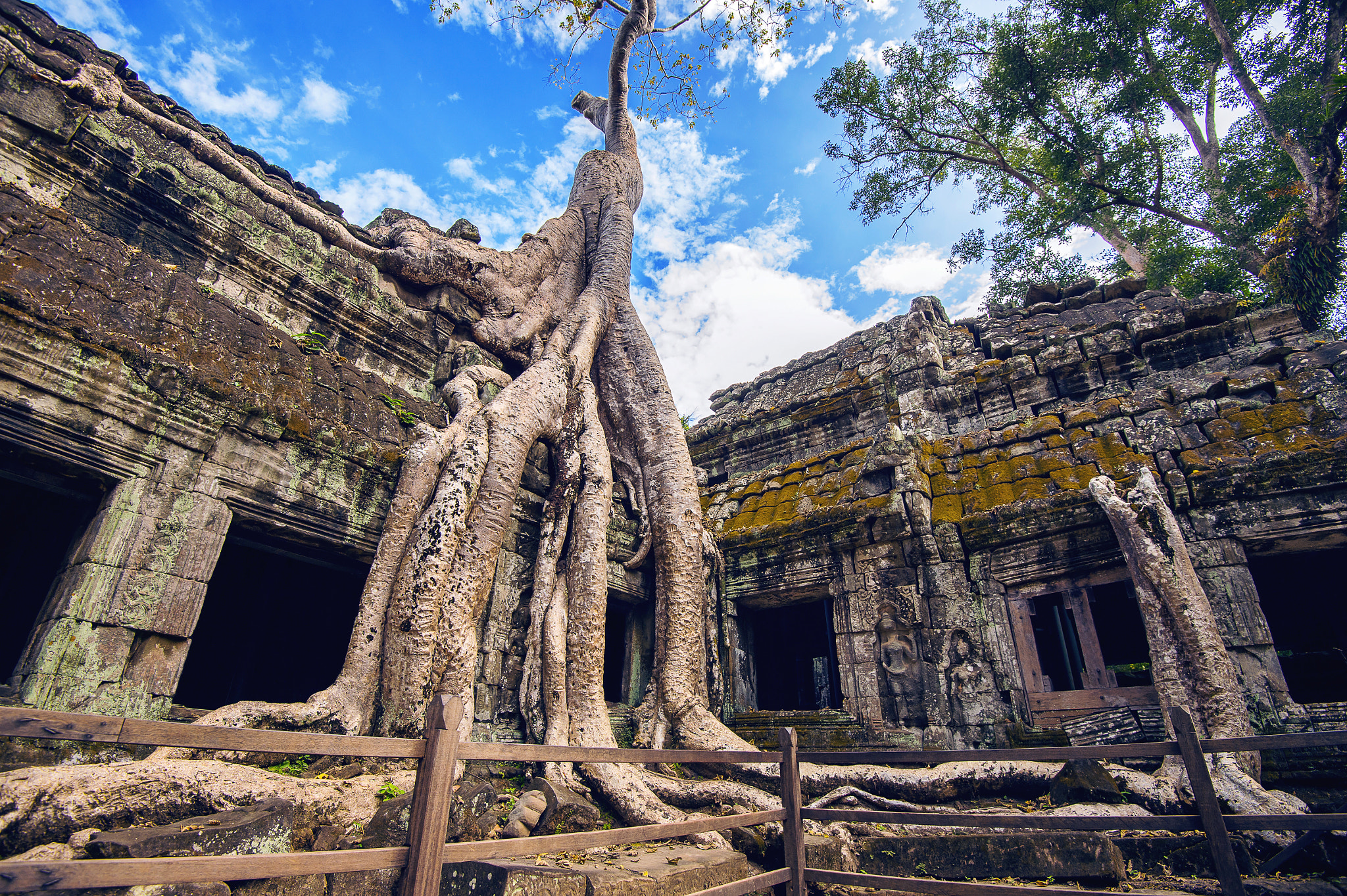 Nikon D4S + Nikon AF-S Nikkor 16-35mm F4G ED VR sample photo. Trees growing out of ta prohm temple, angkor wat in cambodia. photography