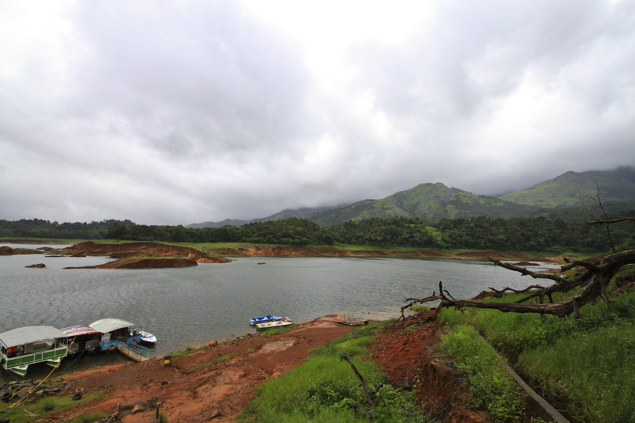 Canon EOS 500D (EOS Rebel T1i / EOS Kiss X3) + Sigma 10-20mm F3.5 EX DC HSM sample photo. Wayanad  photography