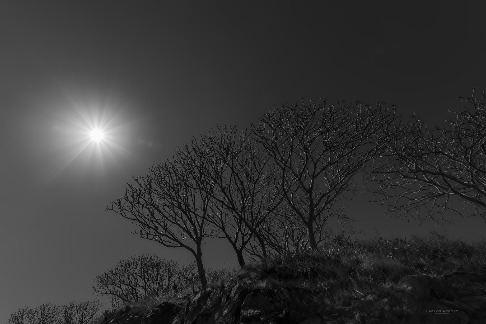 Nikon D5500 + Sigma 10-20mm F3.5 EX DC HSM sample photo. E photography
