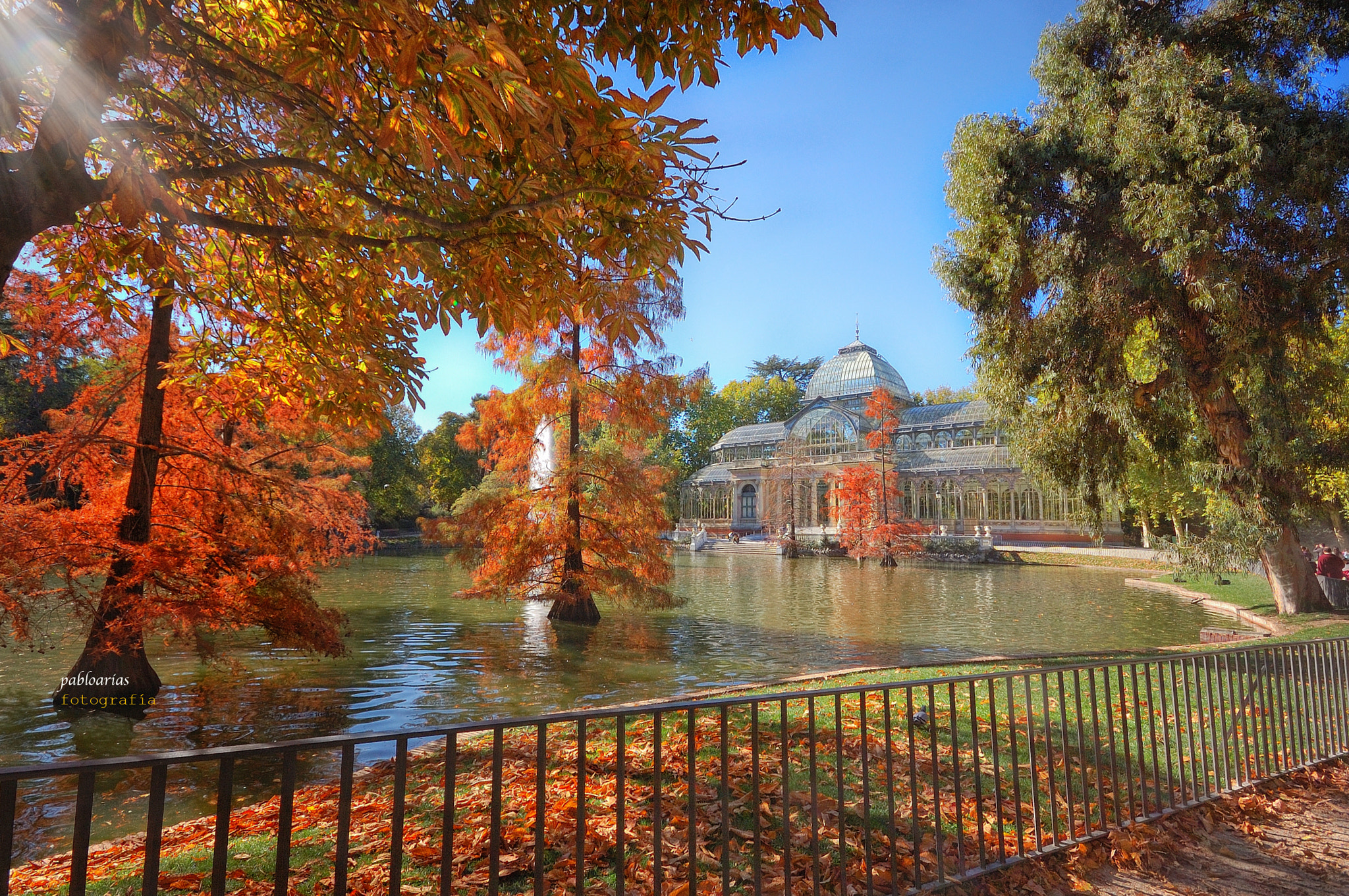 Sigma 10-20mm F4-5.6 EX DC HSM sample photo. Palacio de cristal photography