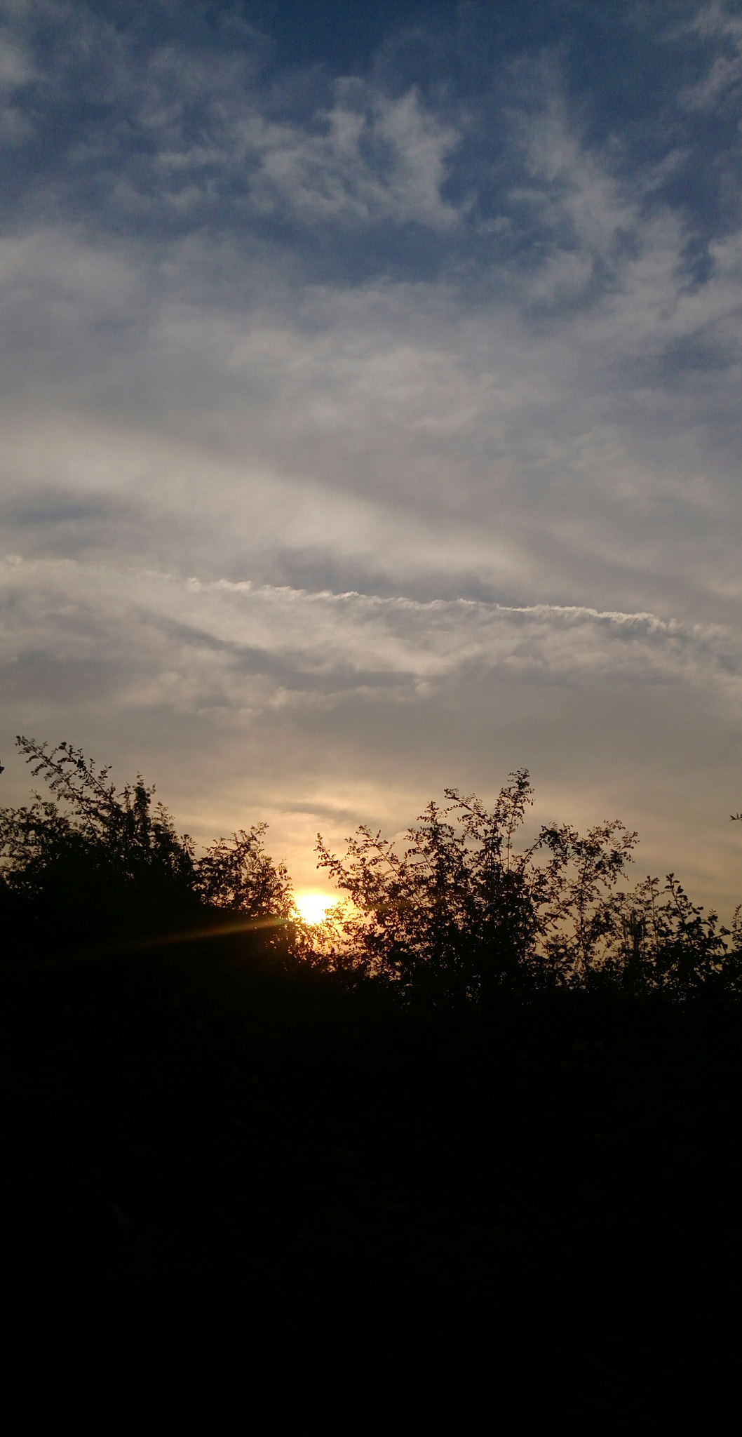 HTC DESIRE 828 DUAL SIM sample photo. Sunrise  photography