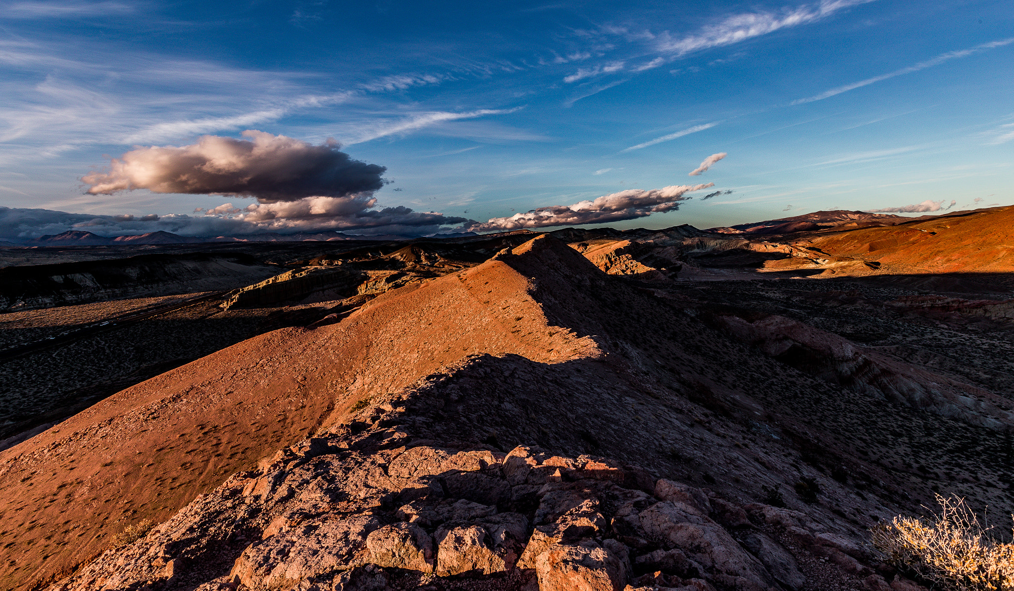 Canon EOS-1D X Mark II + Canon EF 16-35mm F2.8L II USM sample photo