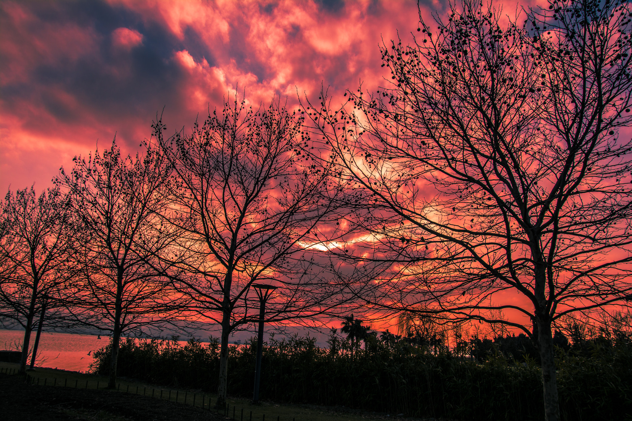 Nikon D7100 + Sigma 17-70mm F2.8-4 DC Macro OS HSM sample photo. Tree shadows and sunset photography