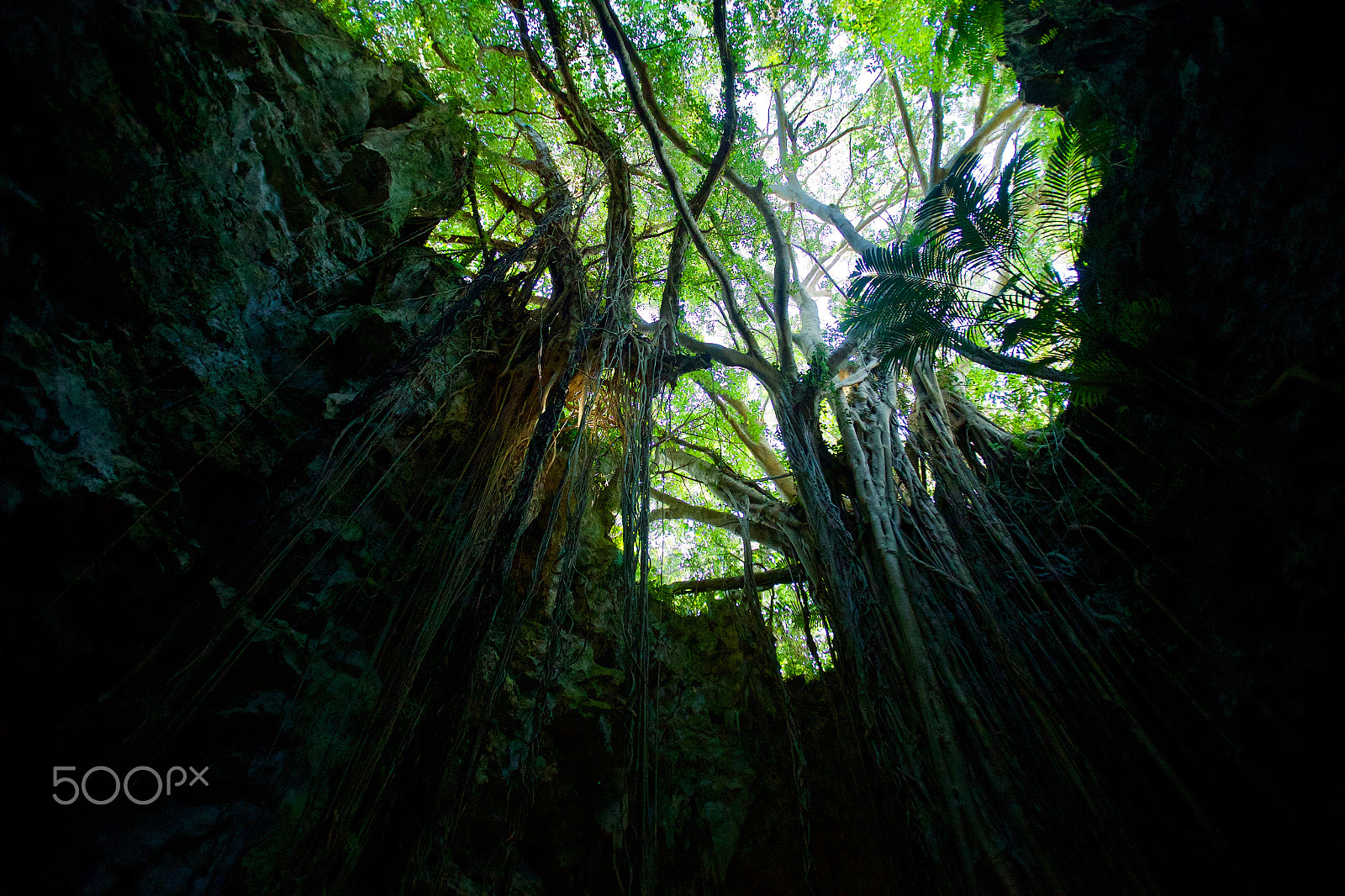 Canon EF 16-35mm F2.8L USM sample photo. Yggdrasill photography
