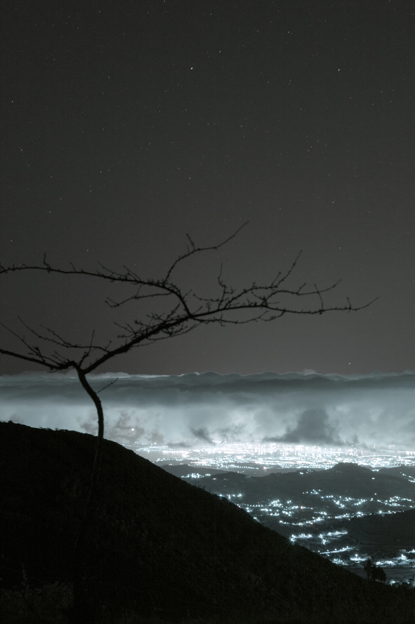 Nikon D3200 sample photo. At night watching the lights of the city photography