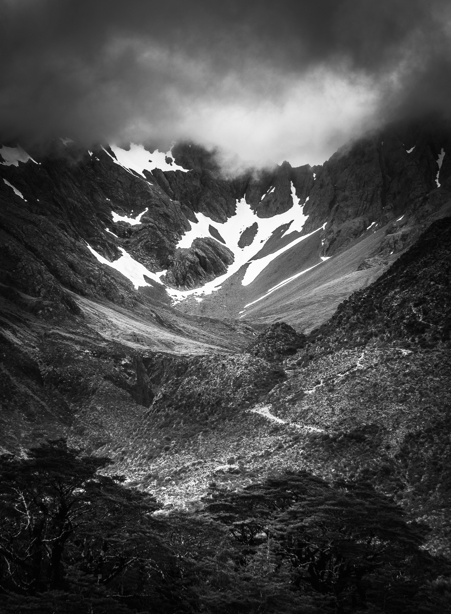 Nikon D5500 sample photo. View from the forest photography