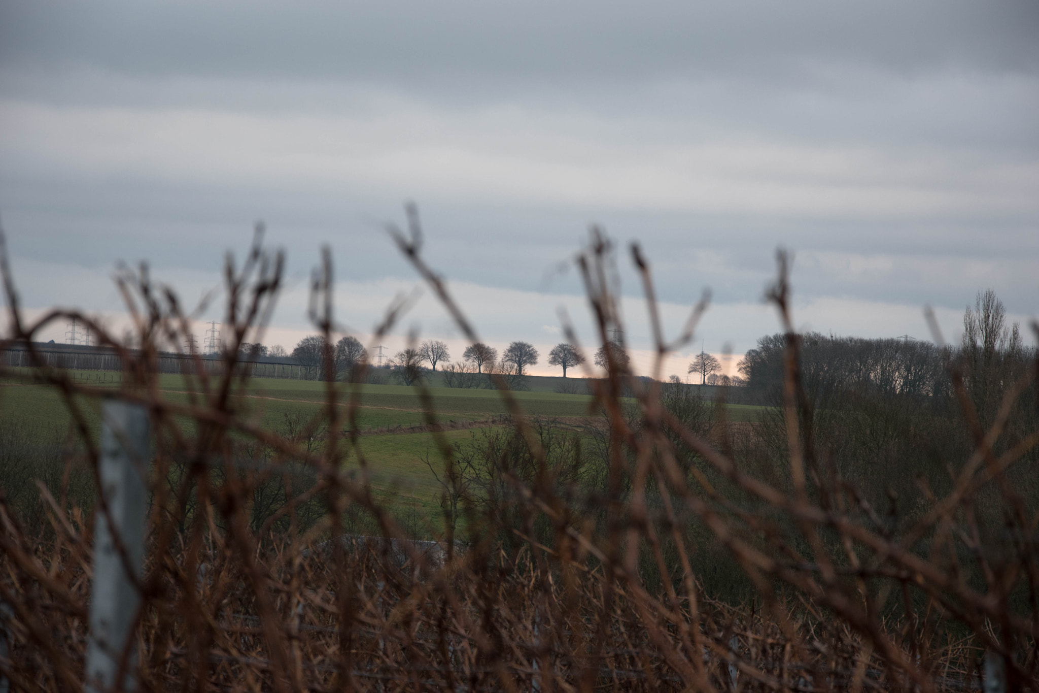 Nikon D5600 sample photo. Landscape photography