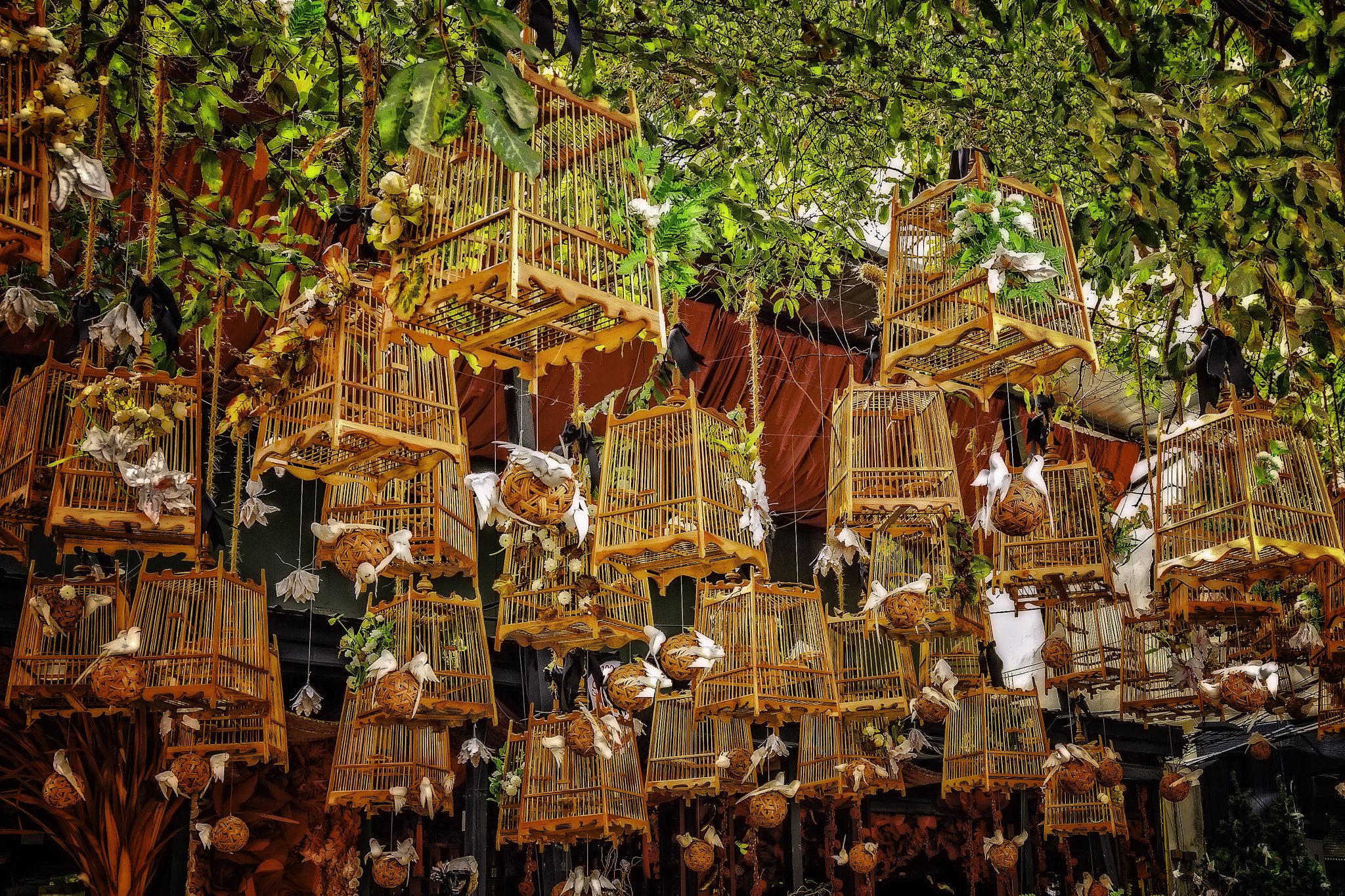 Canon EOS 40D sample photo. Hanging cages, chiang mai. photography