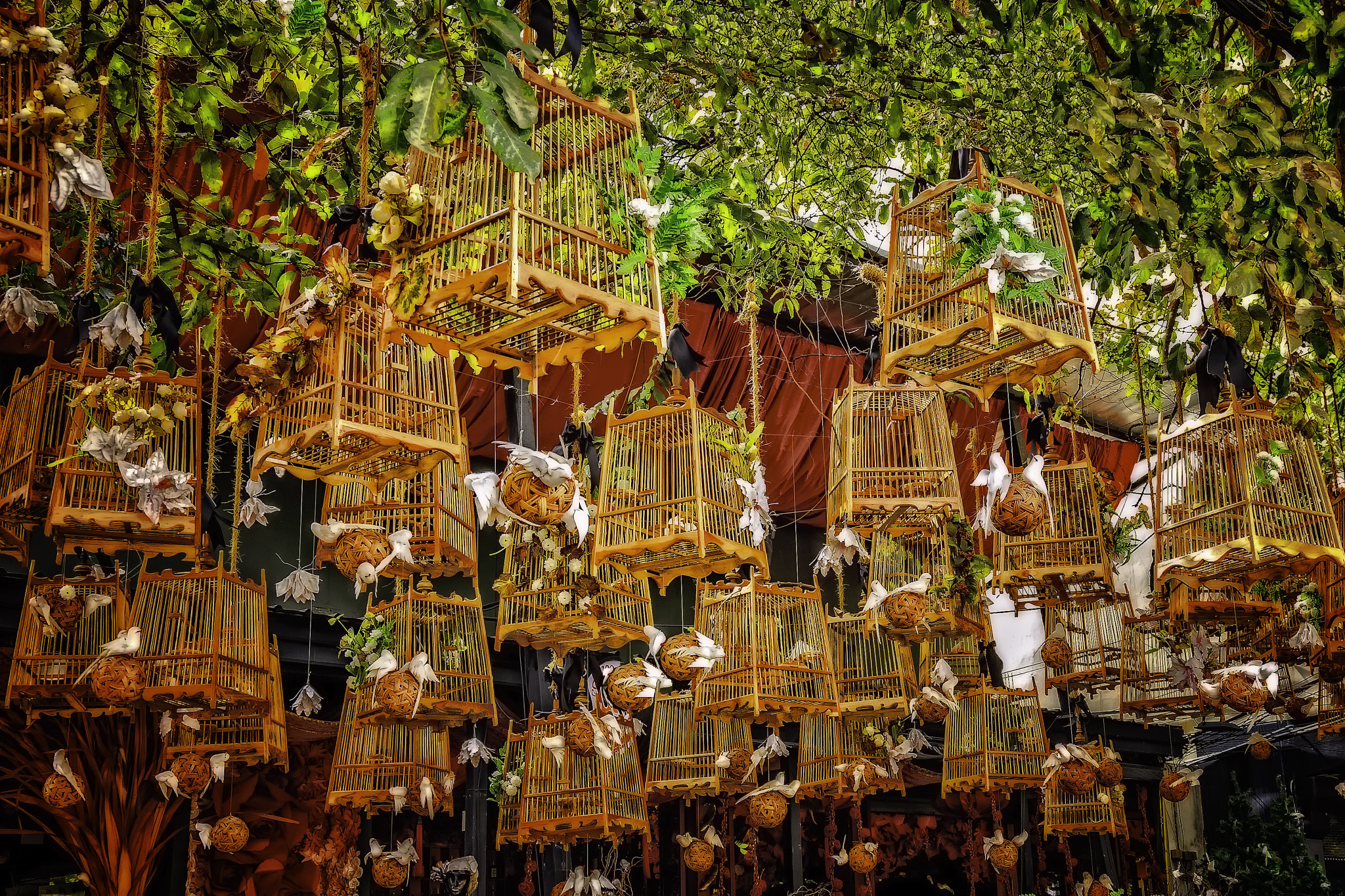 Canon EOS 40D + Canon EF 24-105mm F4L IS USM sample photo. Hanging cages, chiang mai. photography