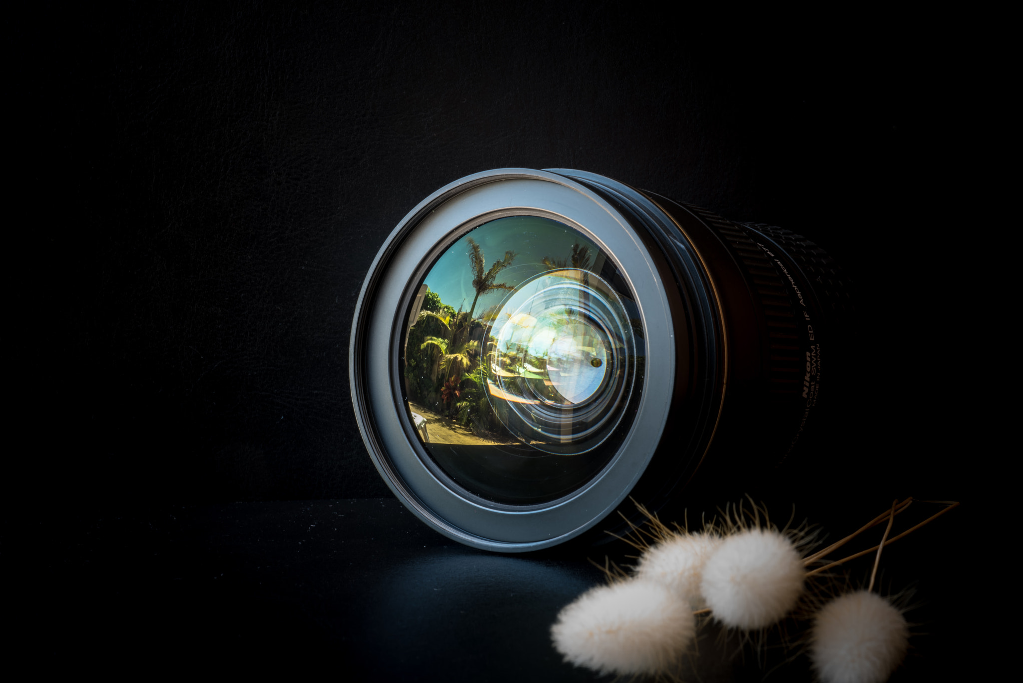 Nikon D750 + AF Micro-Nikkor 60mm f/2.8 sample photo. Playing with dof / light photography