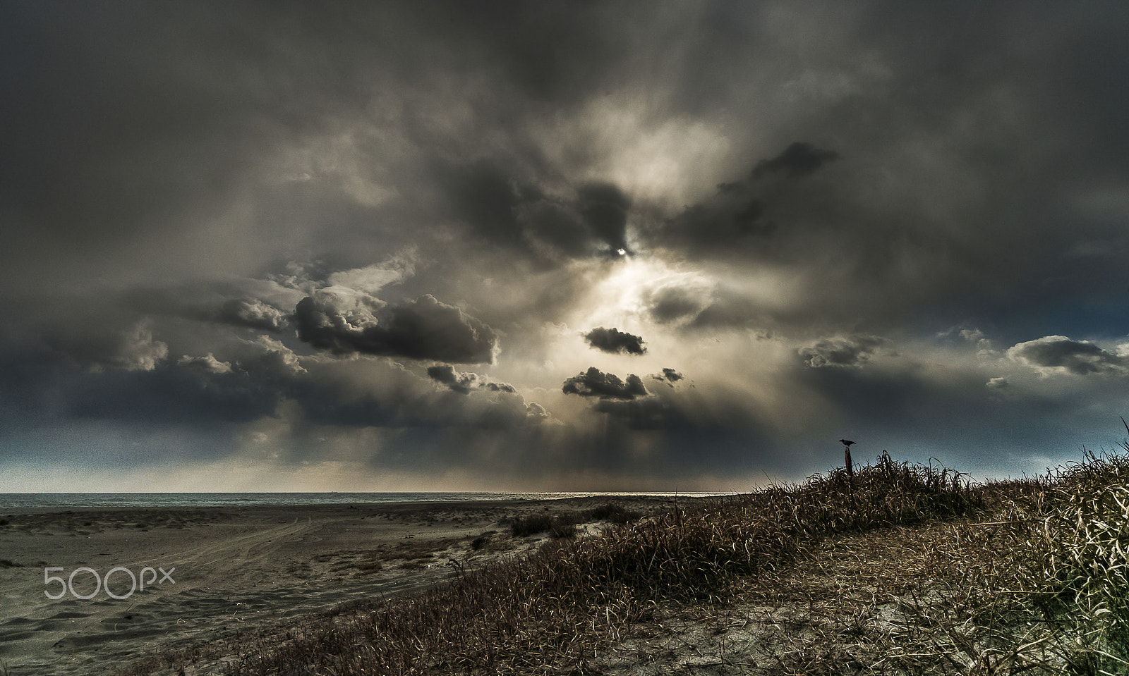 Nikon D800 sample photo. Winter sky 2 photography