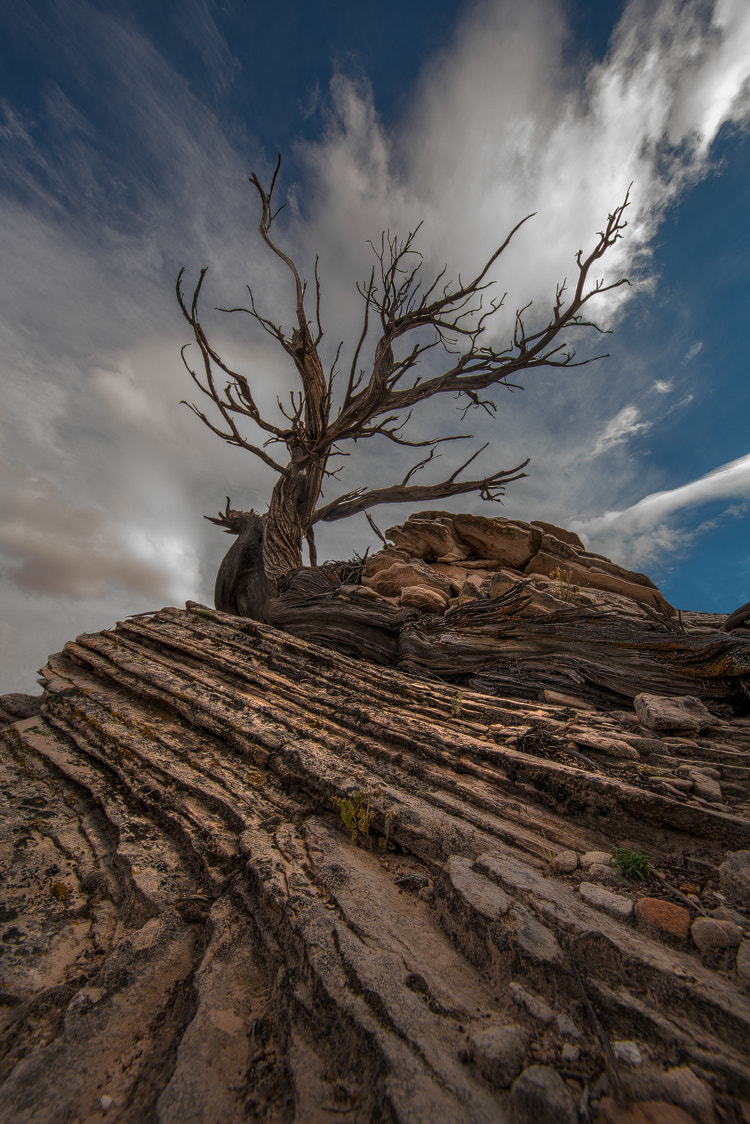 Sony a7R II + Canon EF 11-24mm F4L USM sample photo. Into the clouds photography