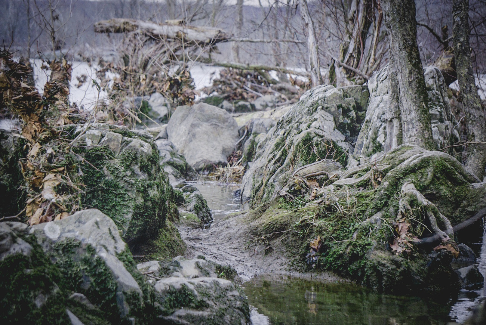 Sony a5100 sample photo. Creepy waters photography