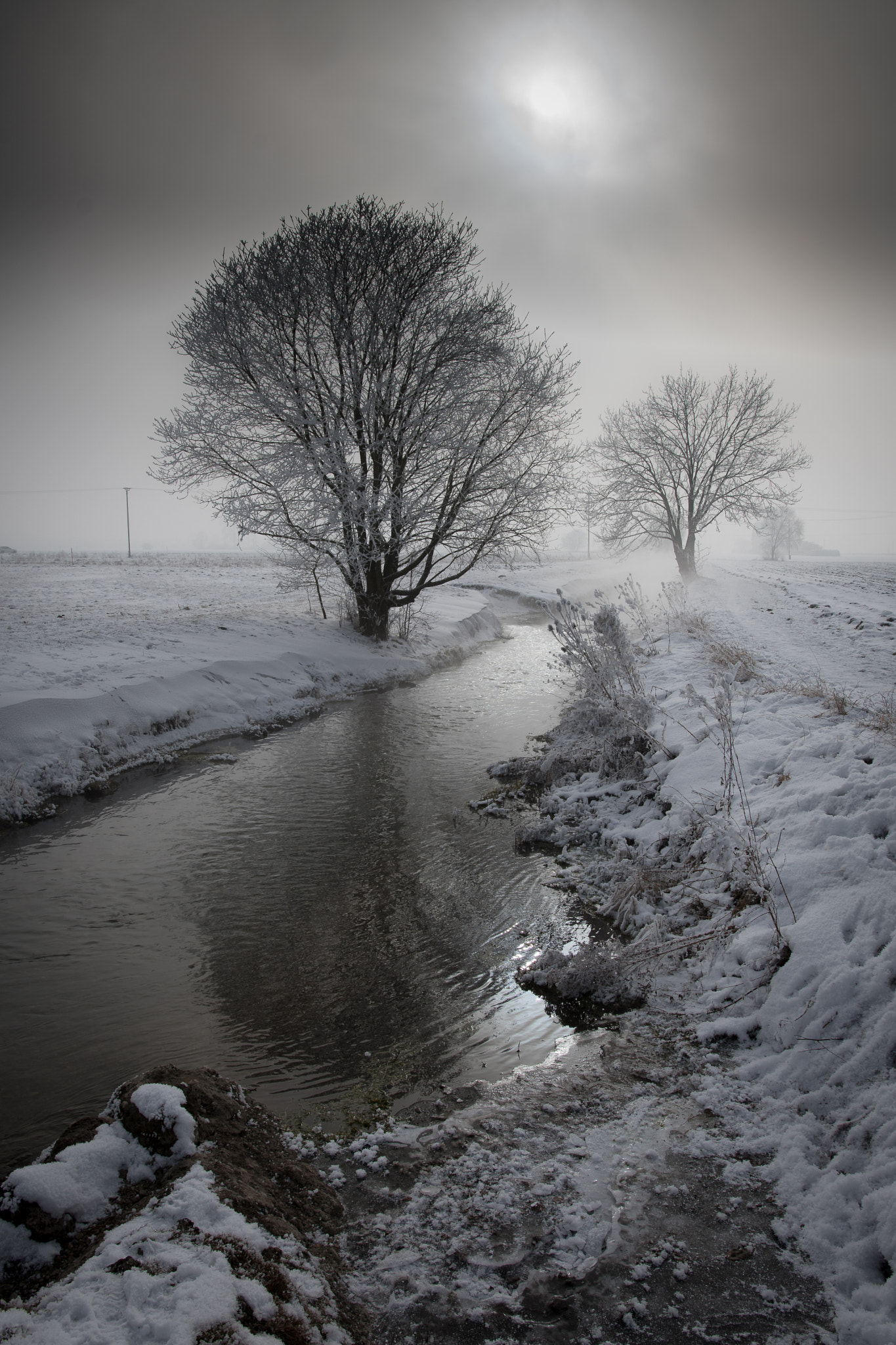 Nikon D500 + Sigma 18-35mm F1.8 DC HSM Art sample photo. Rivulet photography