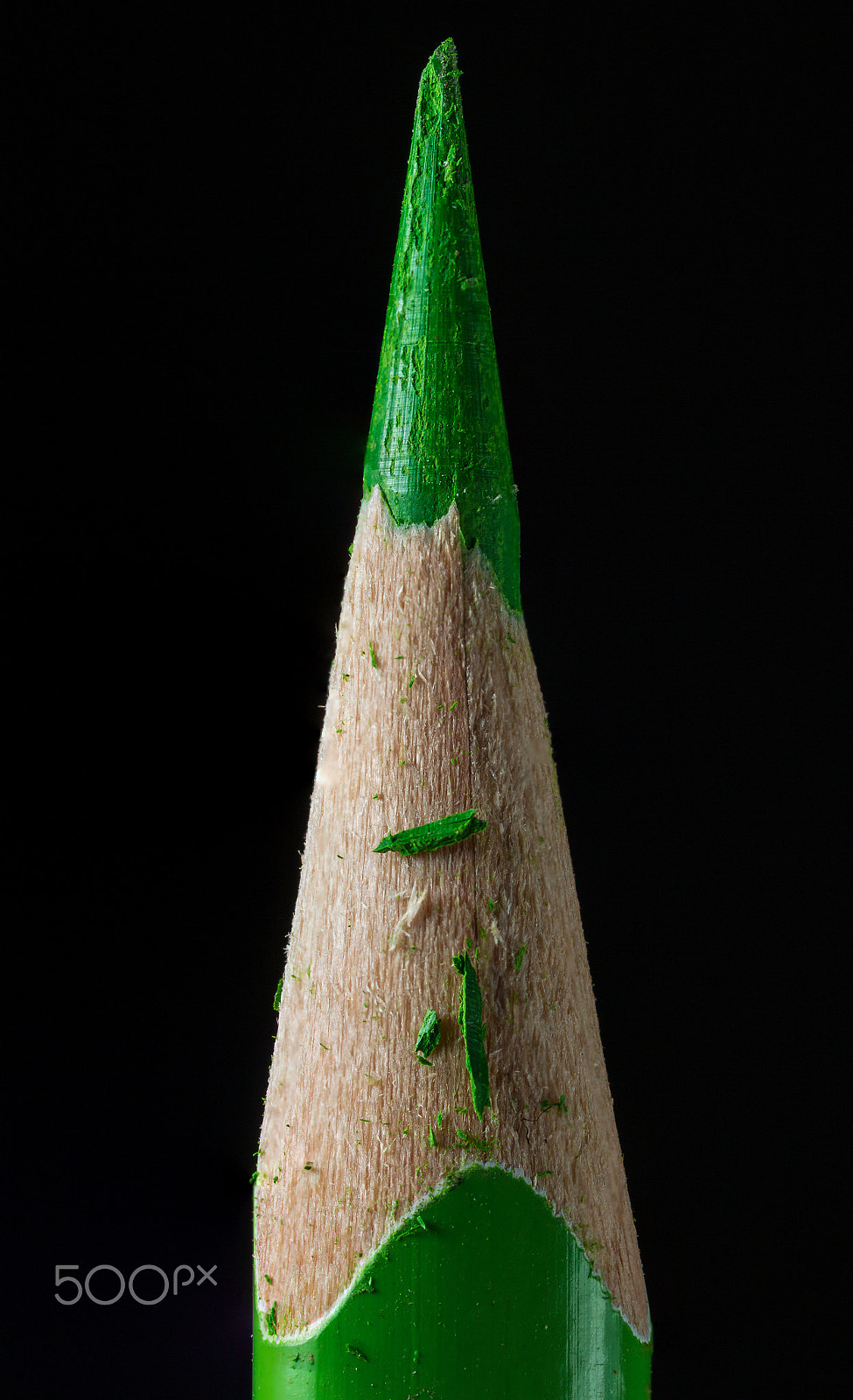 Sigma 150mm f/2.8 EX DG OS HSM APO Macro sample photo. Green photography