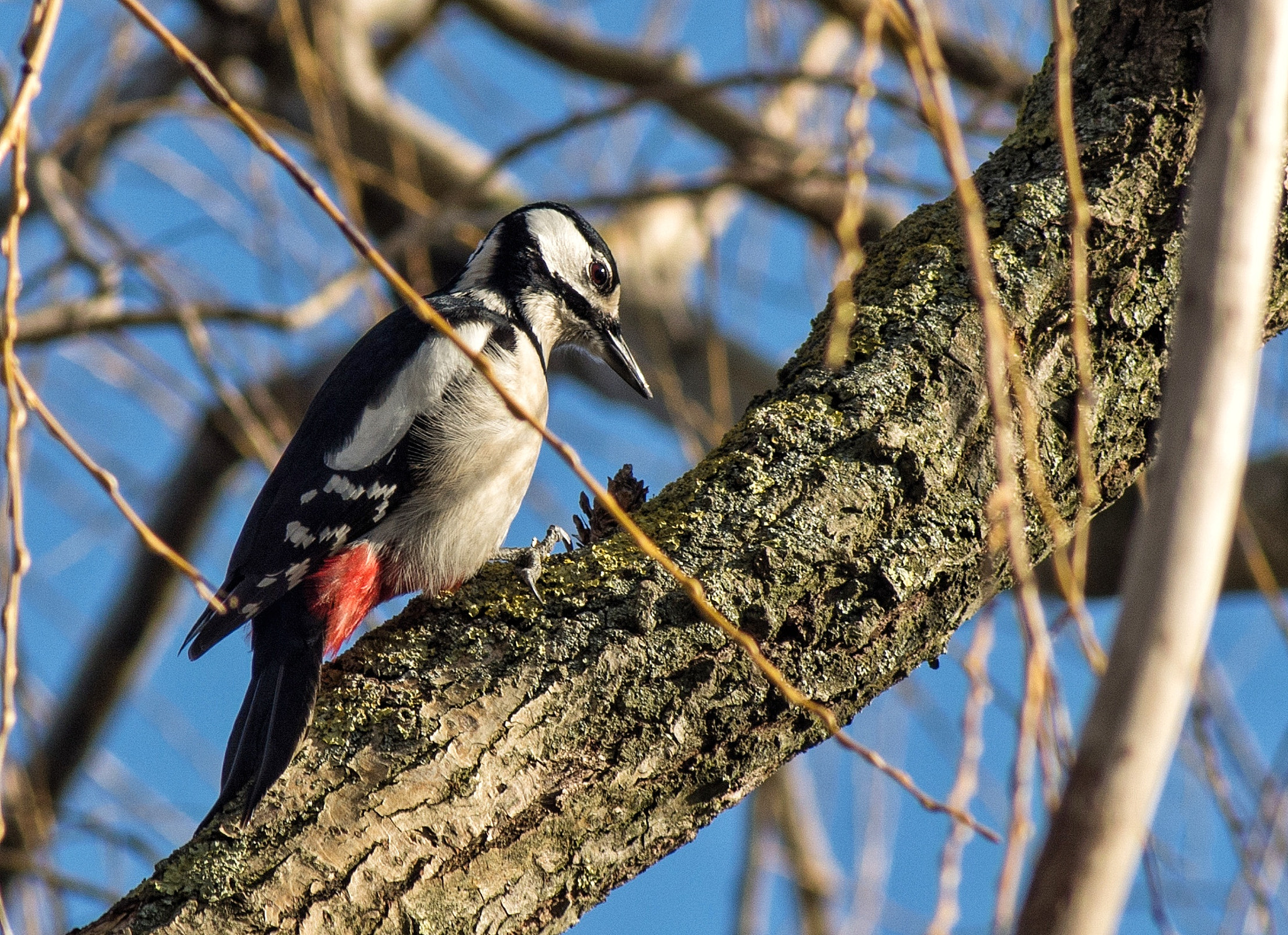 Tamron AF 70-300mm F4-5.6 Di LD Macro sample photo