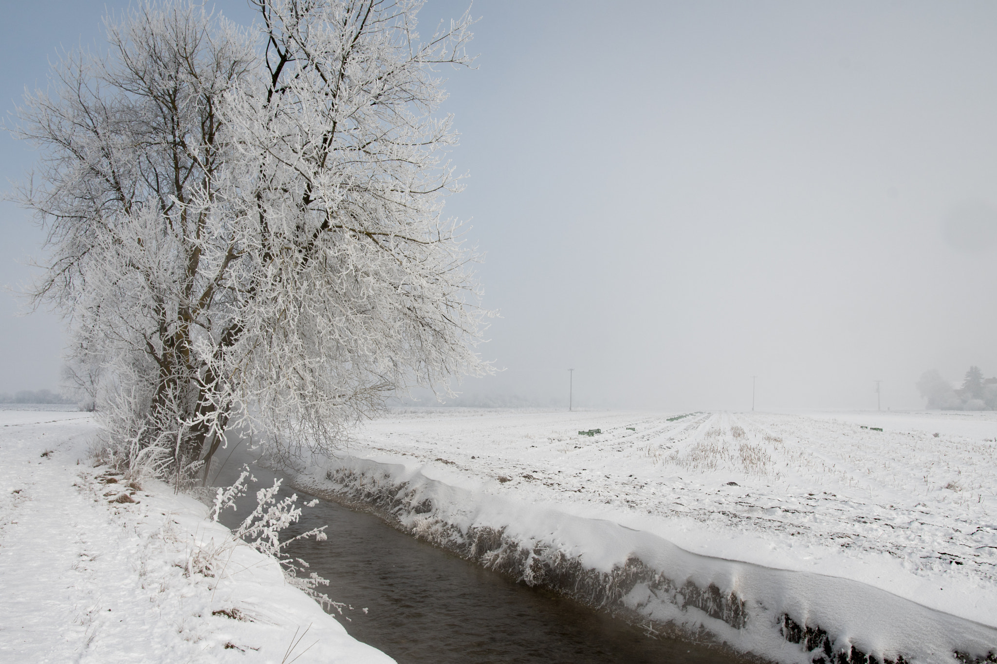 Nikon D500 + Sigma 18-35mm F1.8 DC HSM Art sample photo. Rivulet ii photography