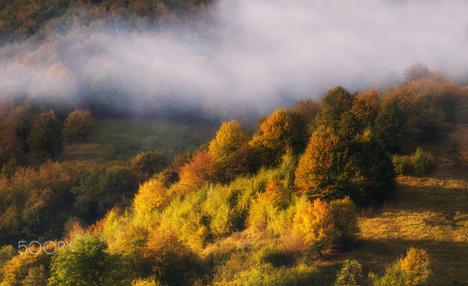 Nikon AF-S Nikkor 70-200mm F4G ED VR sample photo. Morning colors photography