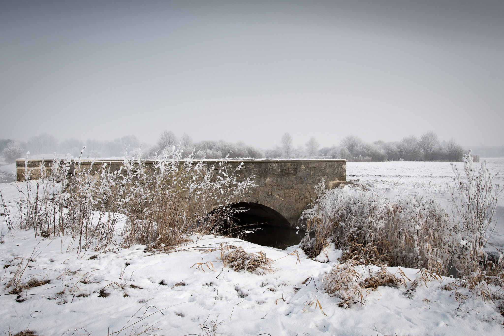 Nikon D500 + Sigma 18-35mm F1.8 DC HSM Art sample photo. The bridge photography