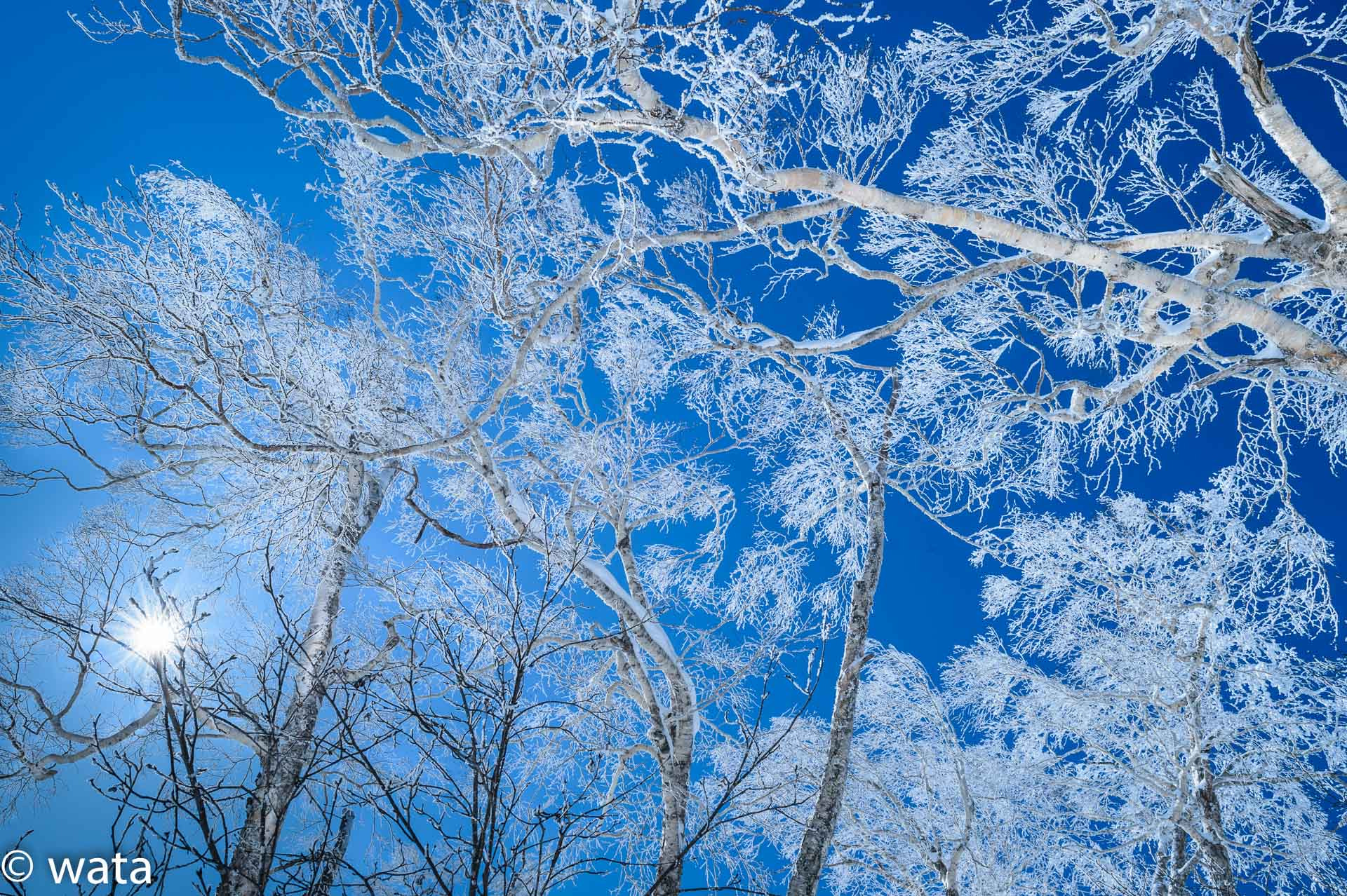 Nikon AF-S Nikkor 24mm F1.4G ED sample photo. White and blue photography