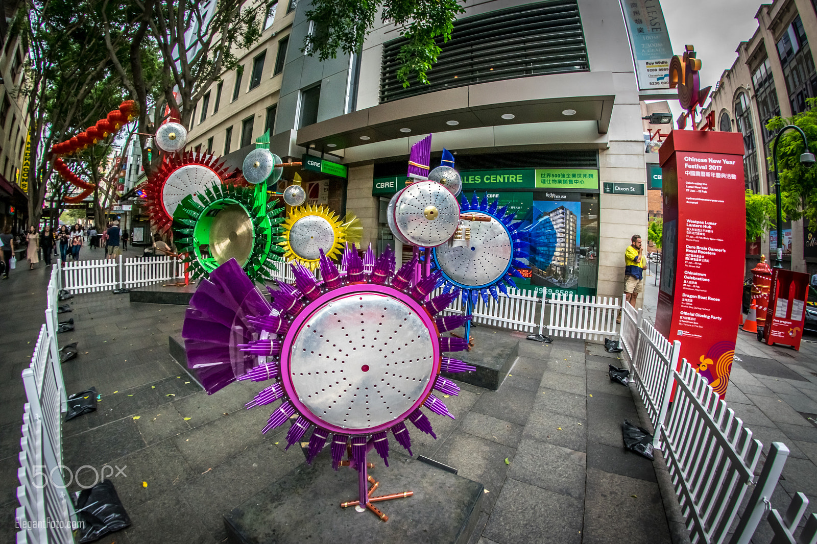 Nikon D5300 + Samyang 8mm F3.5 Aspherical IF MC Fisheye sample photo. Year of rooster photography