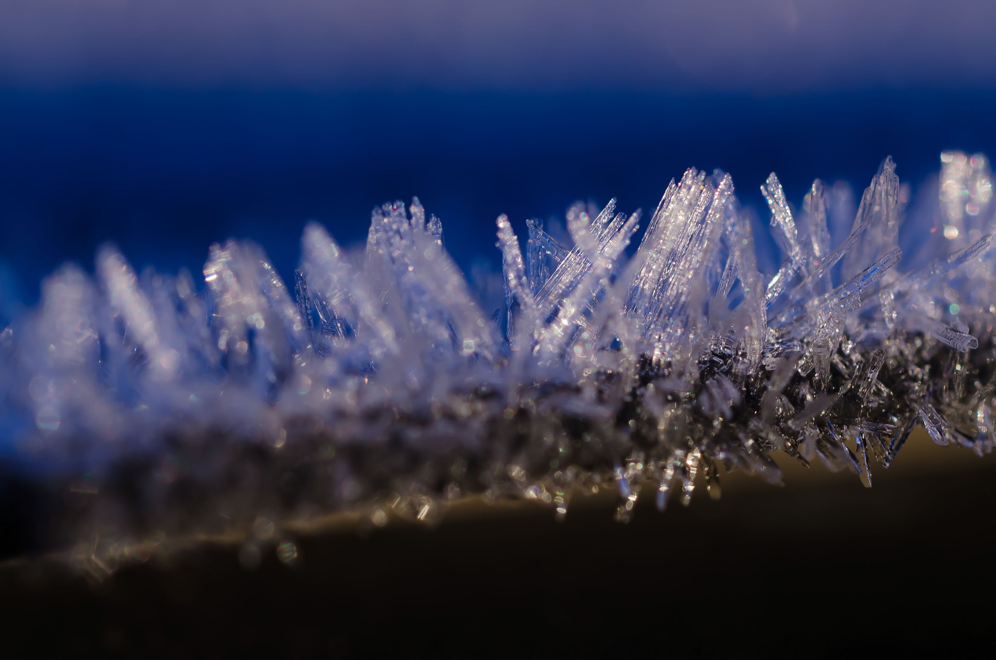 Nikon D7000 + Sigma 50mm F2.8 EX DG Macro sample photo. Winter photography