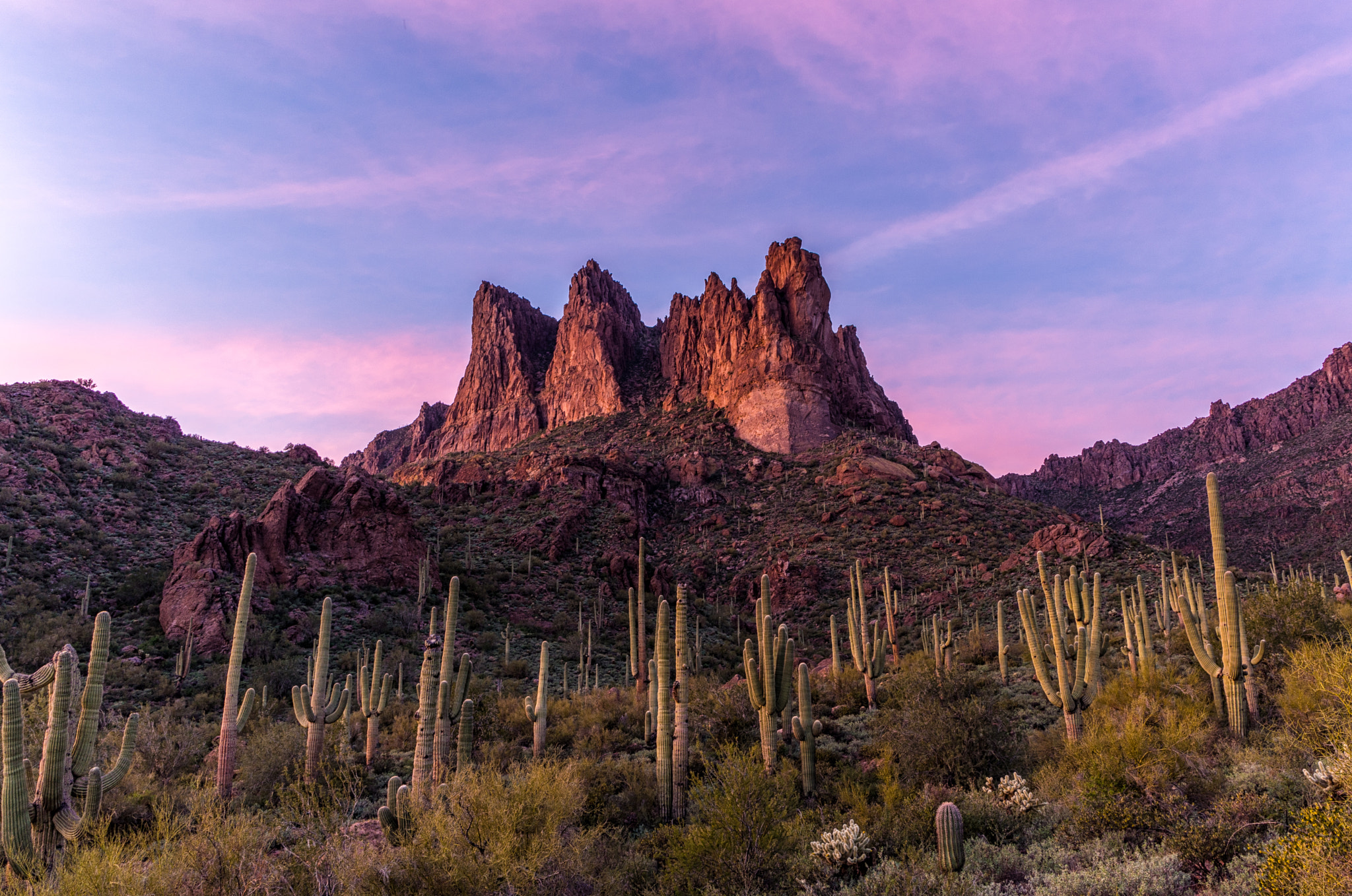 Sony a99 II sample photo. Sonoran dusk photography