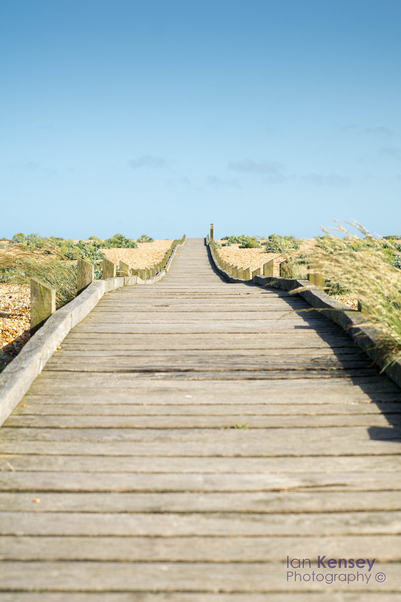 Sony ILCA-77M2 + Tamron SP 24-70mm F2.8 Di VC USD sample photo. The path to nowhere photography