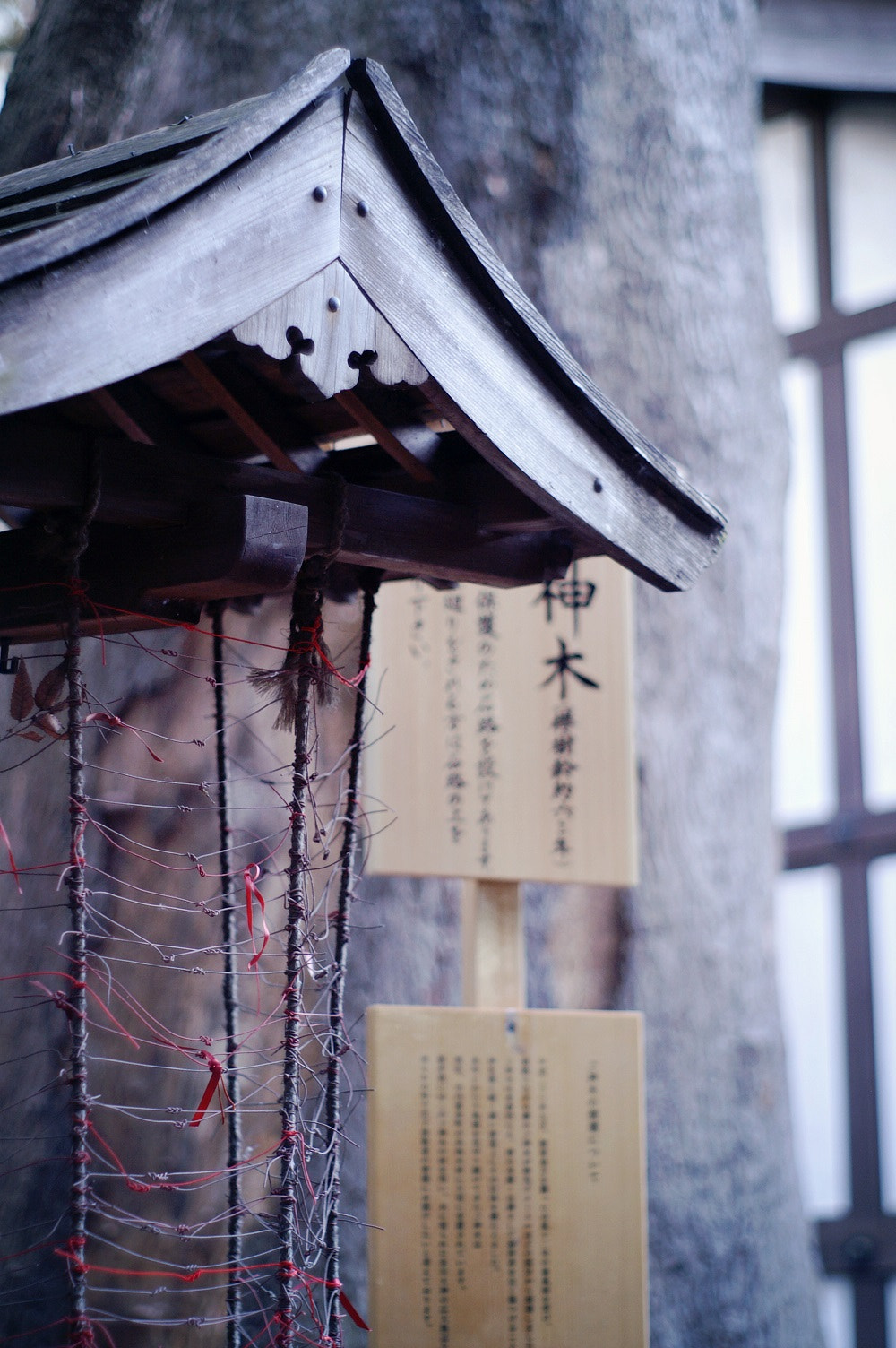 KONICA MINOLTA ALPHA SWEET DIGITAL sample photo. 。 photography