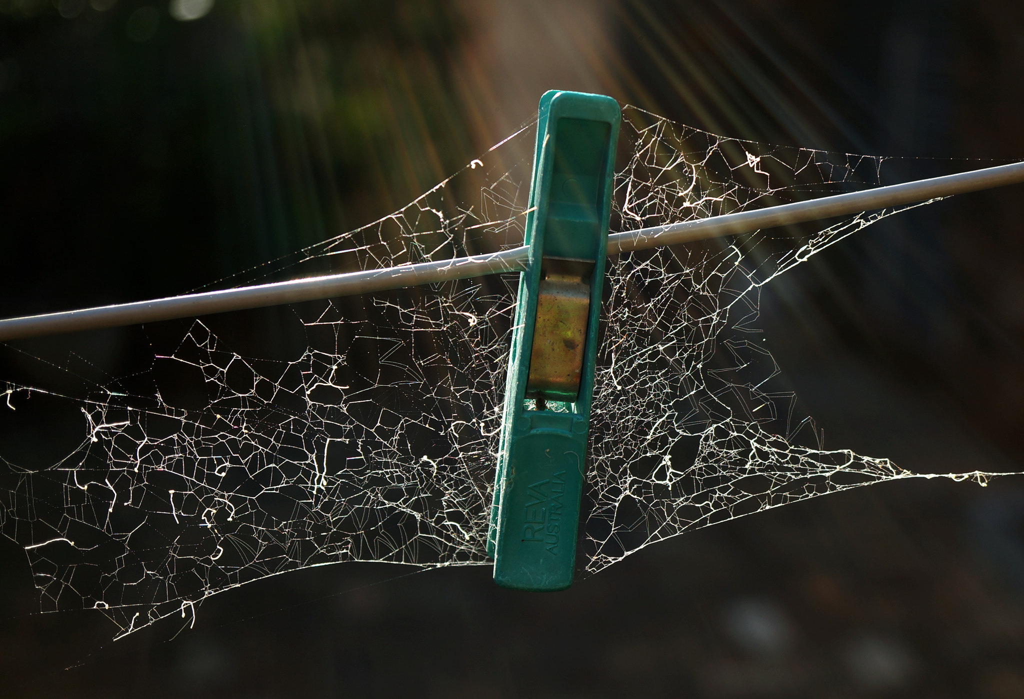 Sony Alpha NEX-5N sample photo. Pegged web or webbed peg? photography