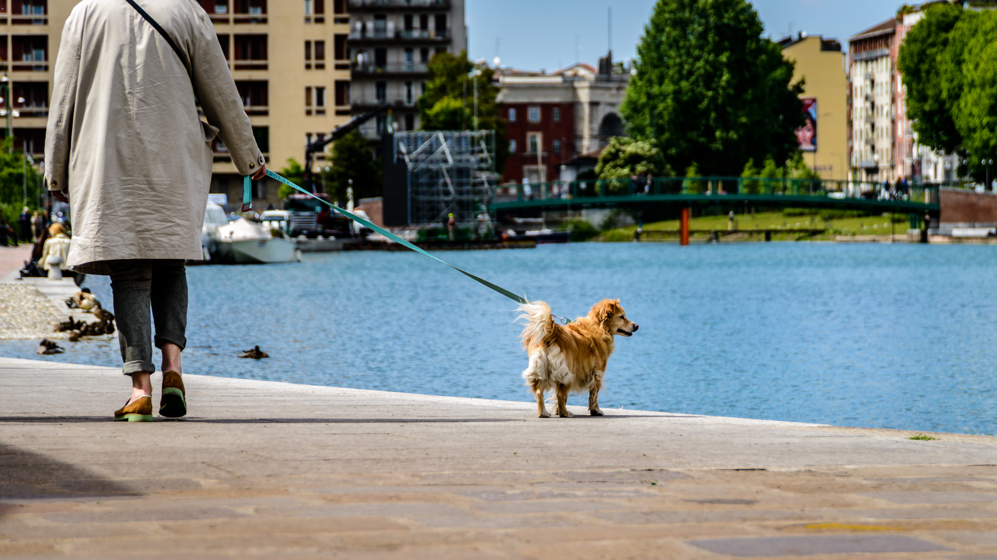 Nikon D800 sample photo. Watching over photography