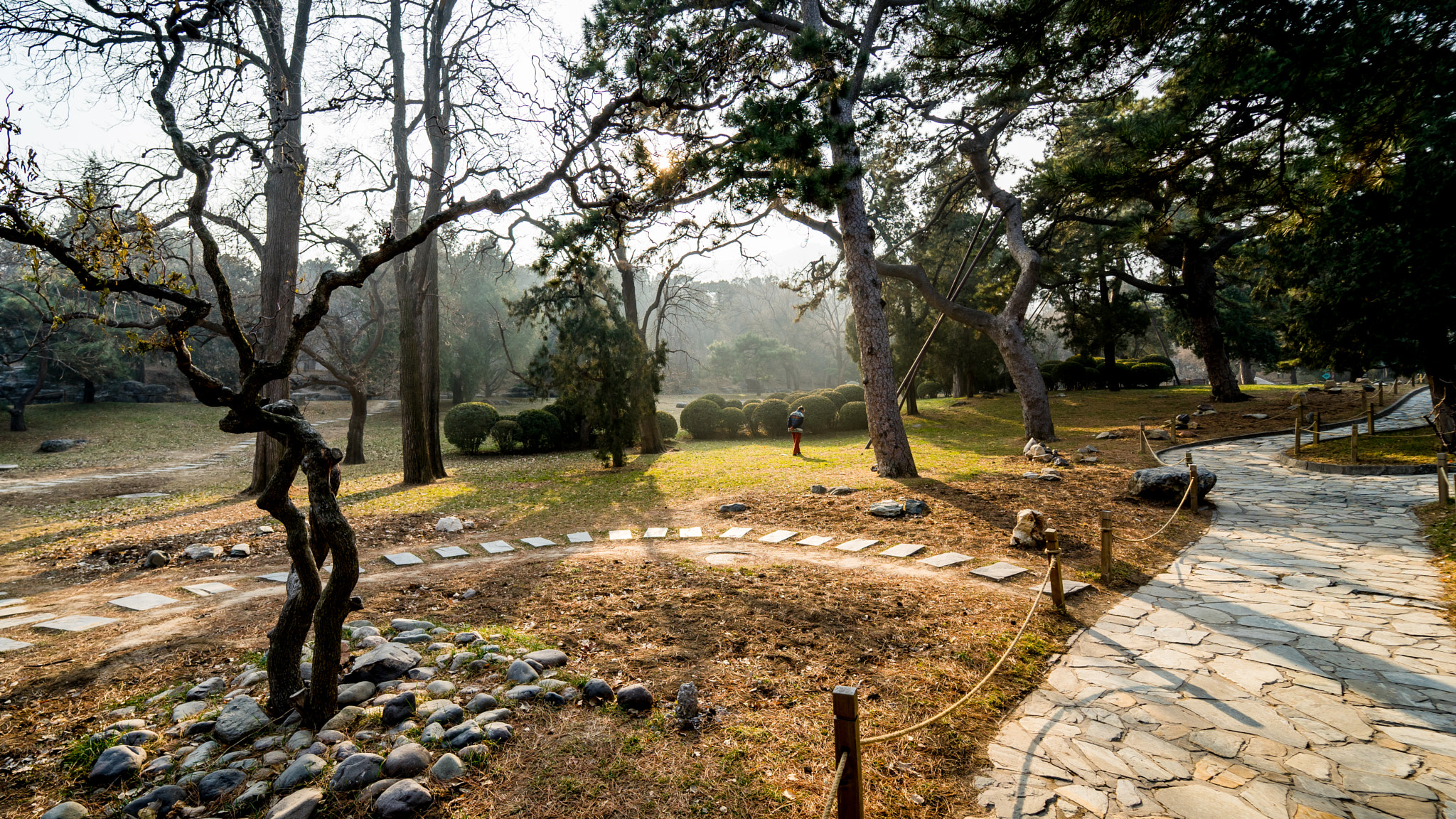 Sony a7 II + Samyang AF 14mm F2.8 FE sample photo. Dancing in the park photography