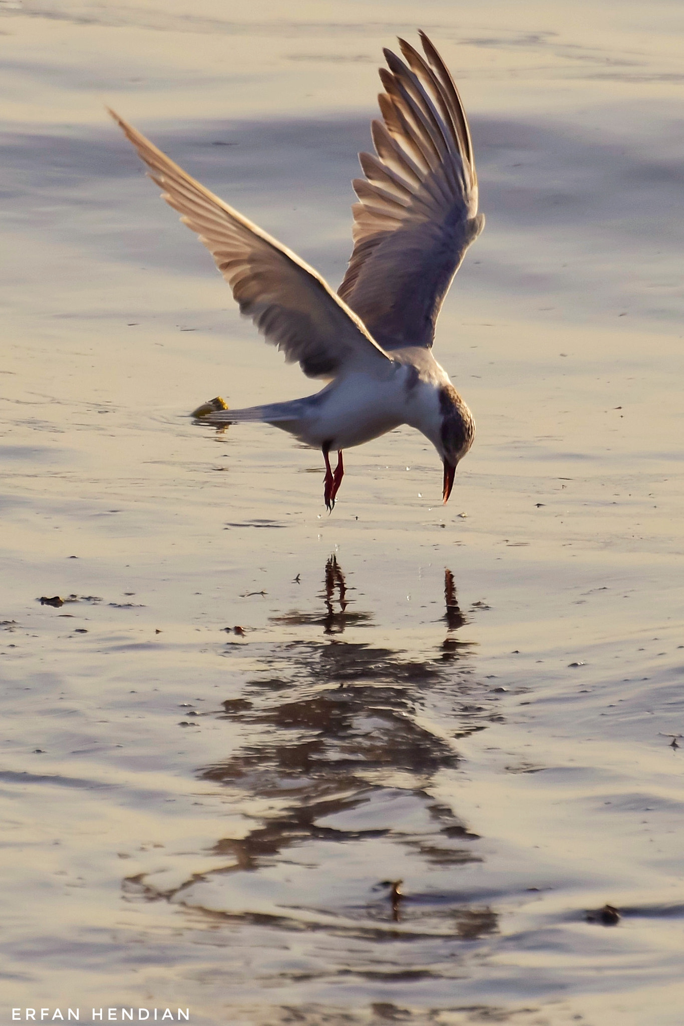 Nikon D5500 sample photo