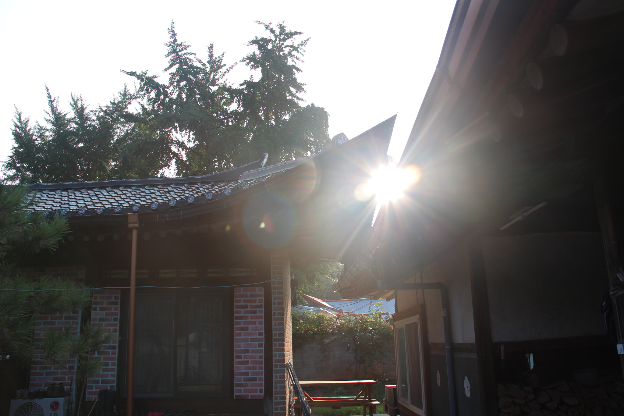 Canon EF-S 18-200mm F3.5-5.6 IS sample photo. 정겨운```고향의 아침 햇살 photography