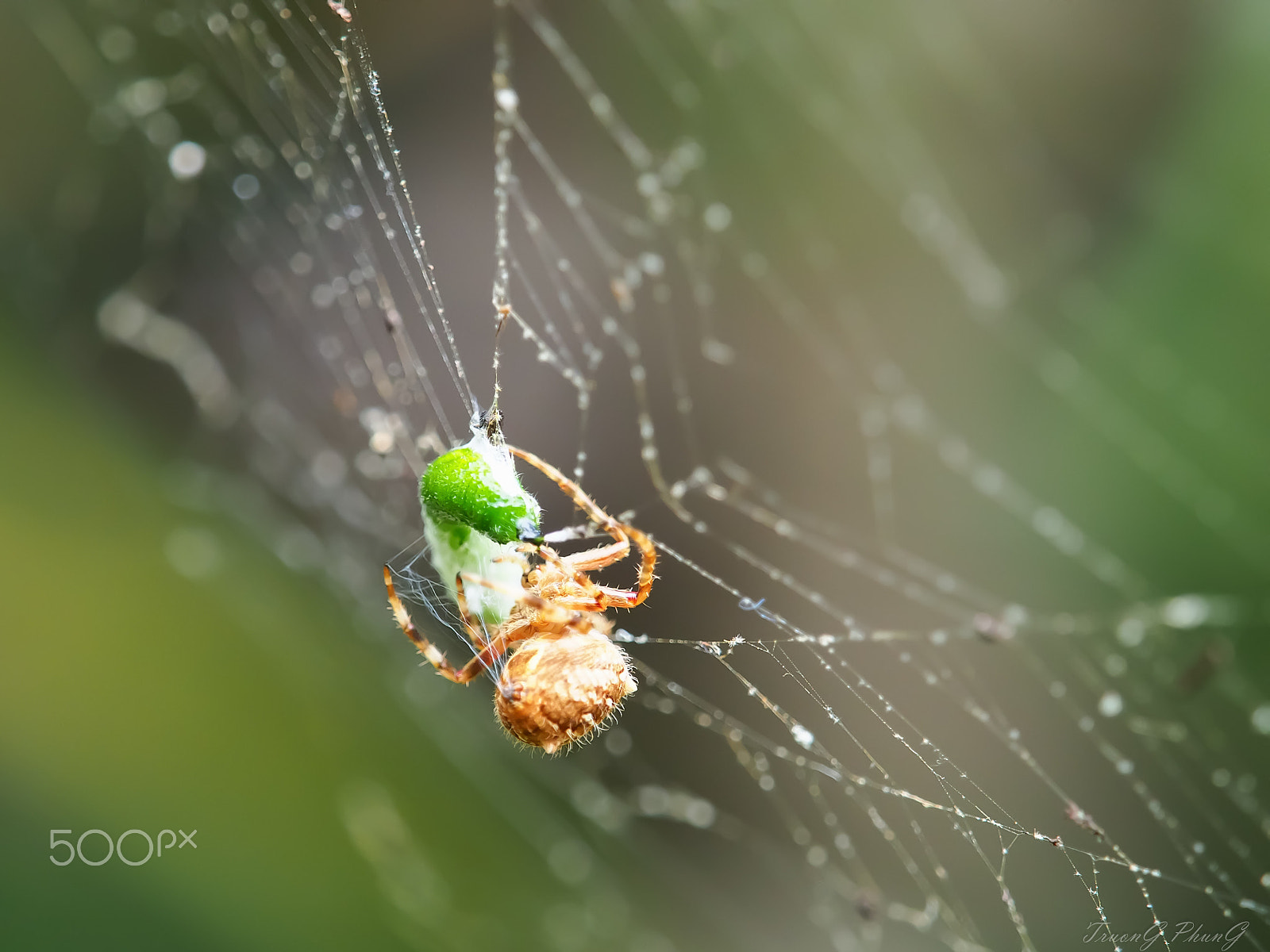 Olympus M.Zuiko Digital ED 40-150mm F2.8 Pro sample photo. Wrapping the silk photography