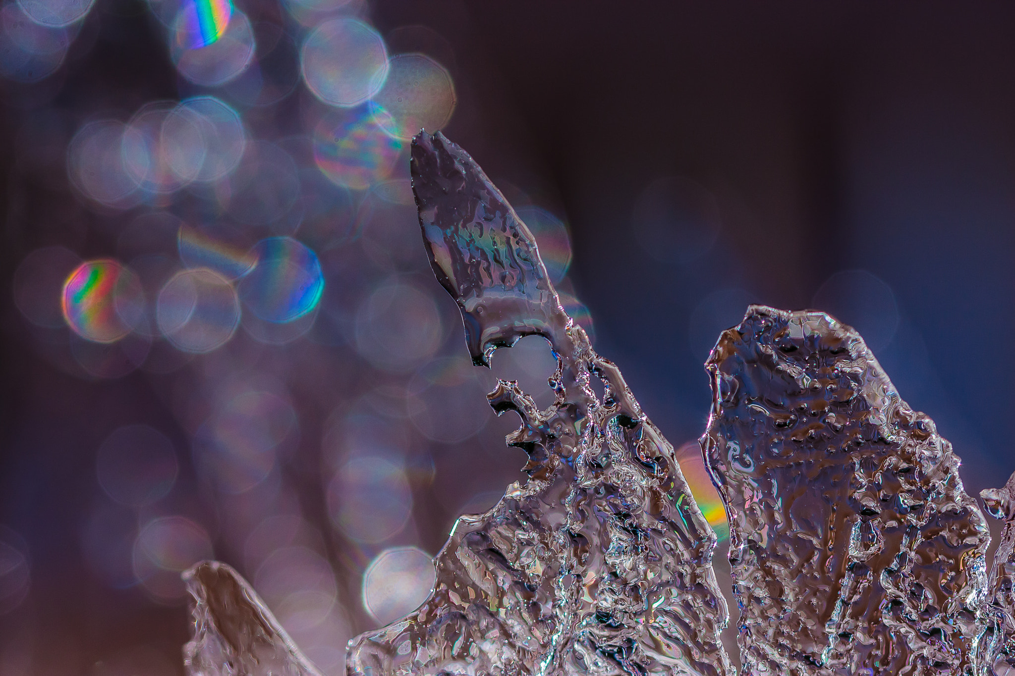 Sigma 105mm F2.8 EX DG OS HSM sample photo. Ice couple photography