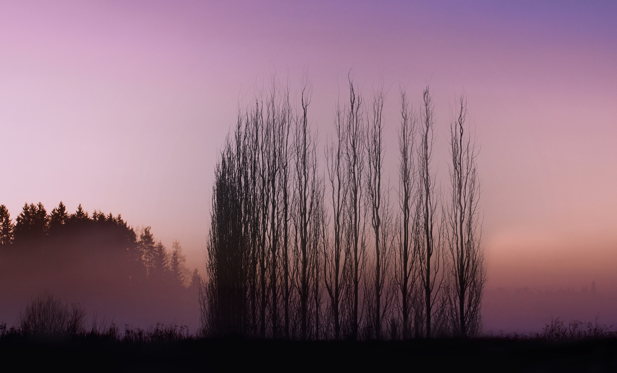 Canon EF 70-200mm F4L USM sample photo. Puut&taivas () photography