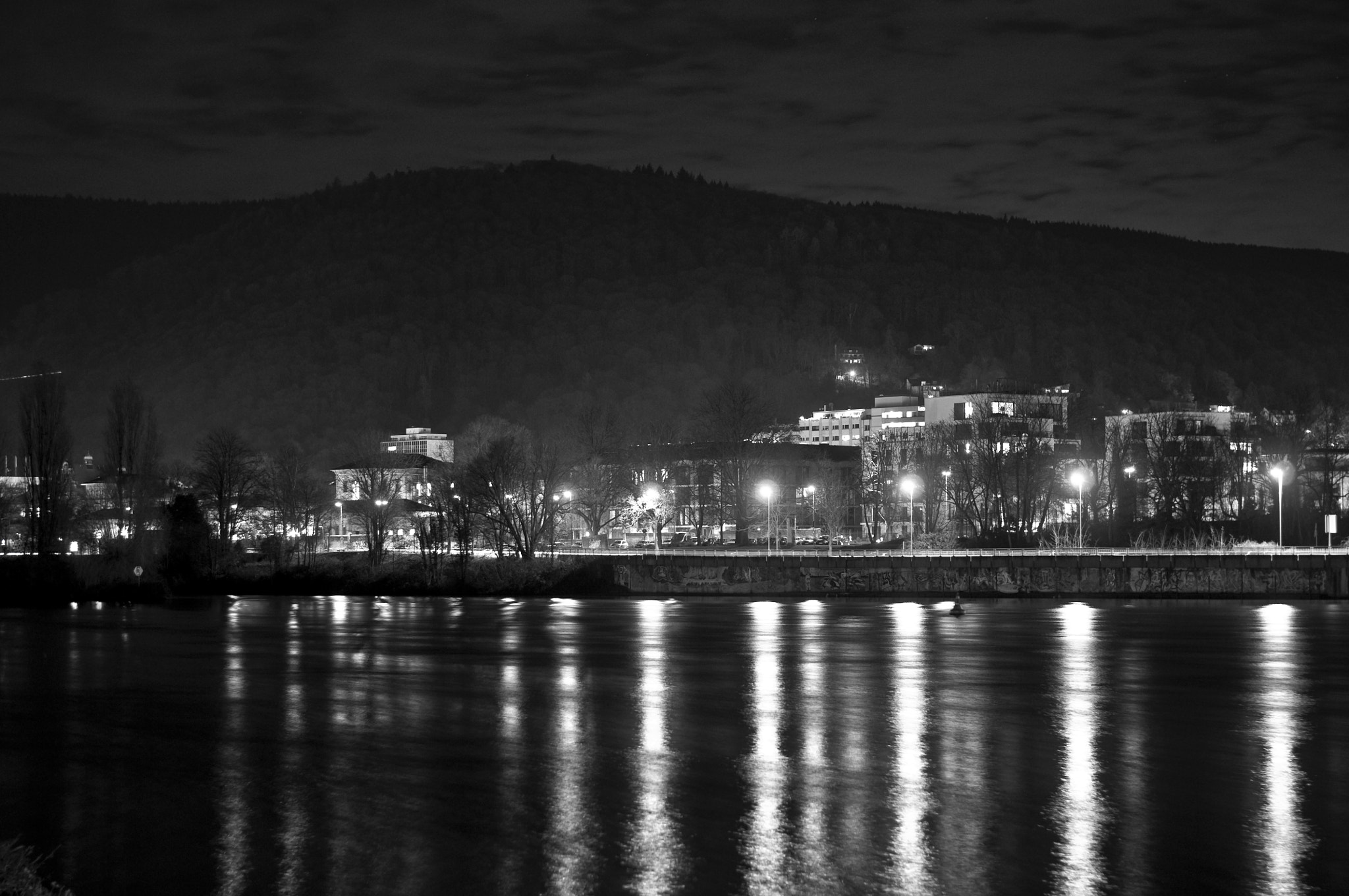 Nikon D300S + Nikon AF-S Nikkor 50mm F1.8G sample photo. Heidelberg photography