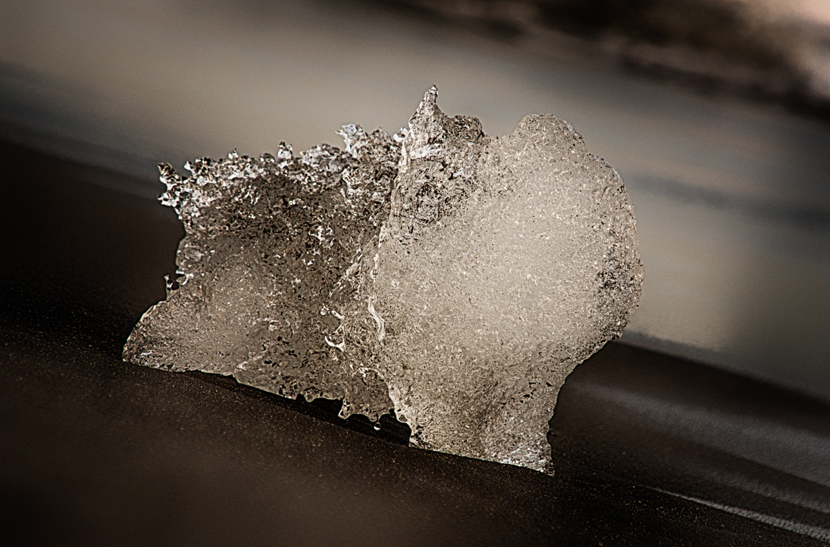 Nikon D800 + Sigma 70-200mm F2.8 EX DG Macro HSM II sample photo. Brown ice photography