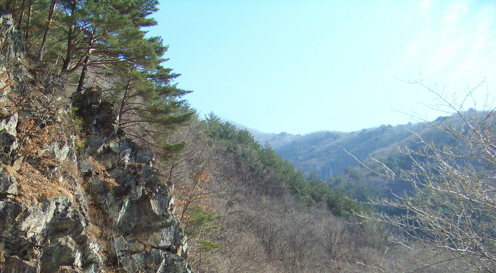 Kodak Z812 IS ZOOM DIGITAL CAMERA sample photo. Spring come 3 photography