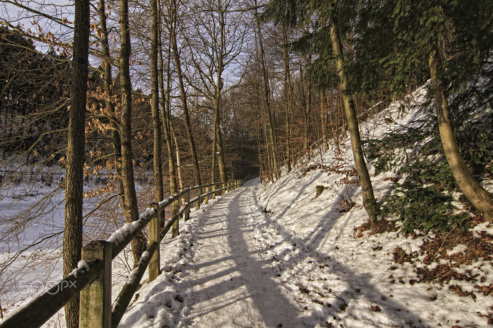 Tokina AT-X Pro 12-24mm F4 (IF) DX sample photo. Winterway photography
