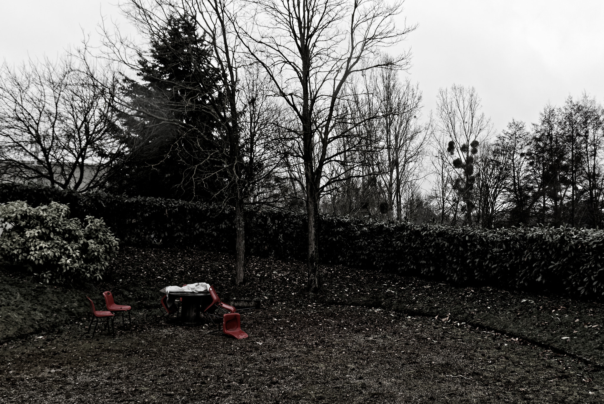 Sigma 17-70mm F2.8-4 DC Macro OS HSM sample photo. Le jardin, l'hiver photography