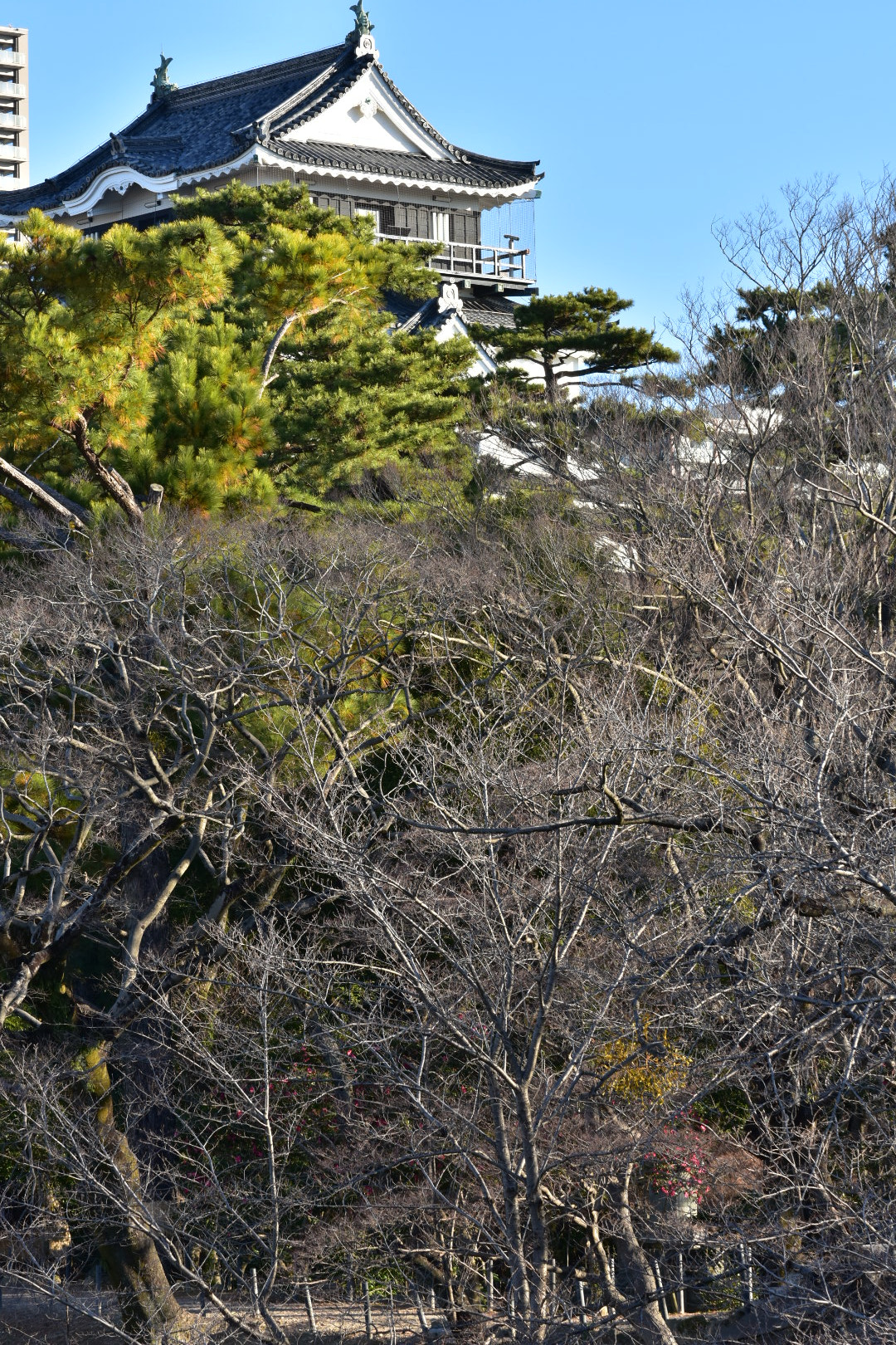Nikon AF-S DX Micro-Nikkor 85mm F3.5G ED VR sample photo