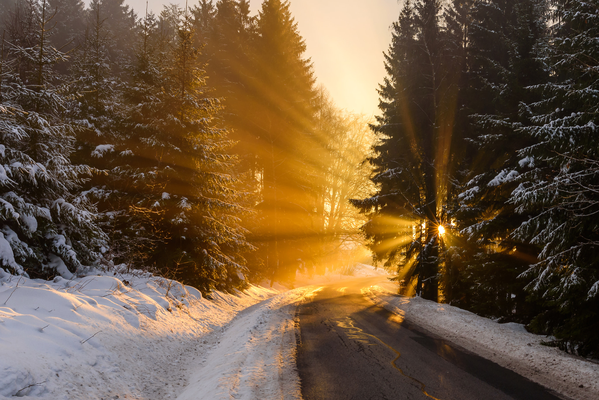 Nikon D750 + Nikon AF-S Nikkor 28mm F1.8G sample photo. Sunny morning photography