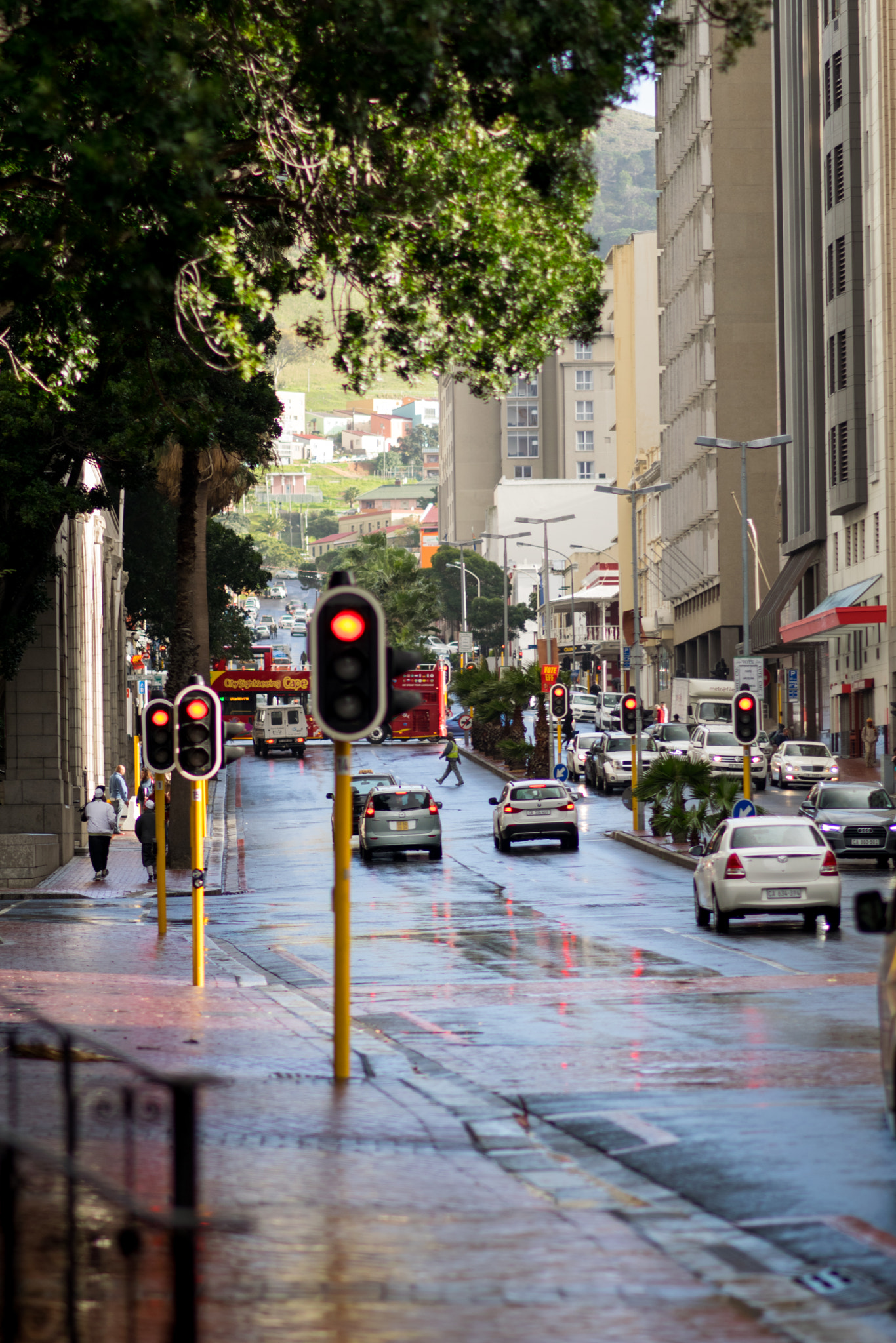 Nikon D5300 + Nikon AF-S Nikkor 85mm F1.8G sample photo. After torrential african rain. photography